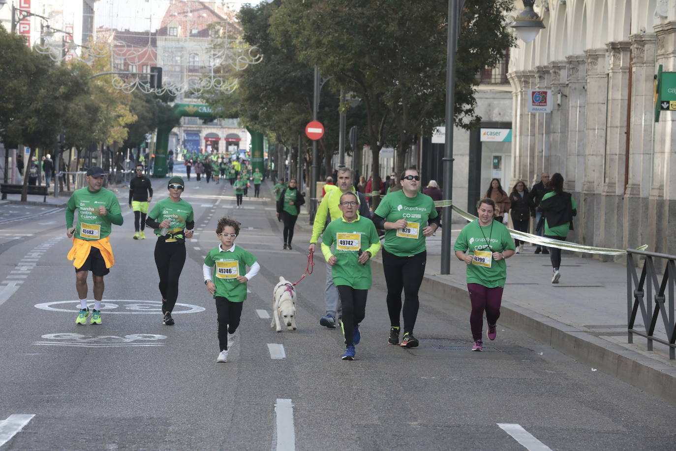 Fotos: La marcha contra el cáncer llena Valladolid de verde