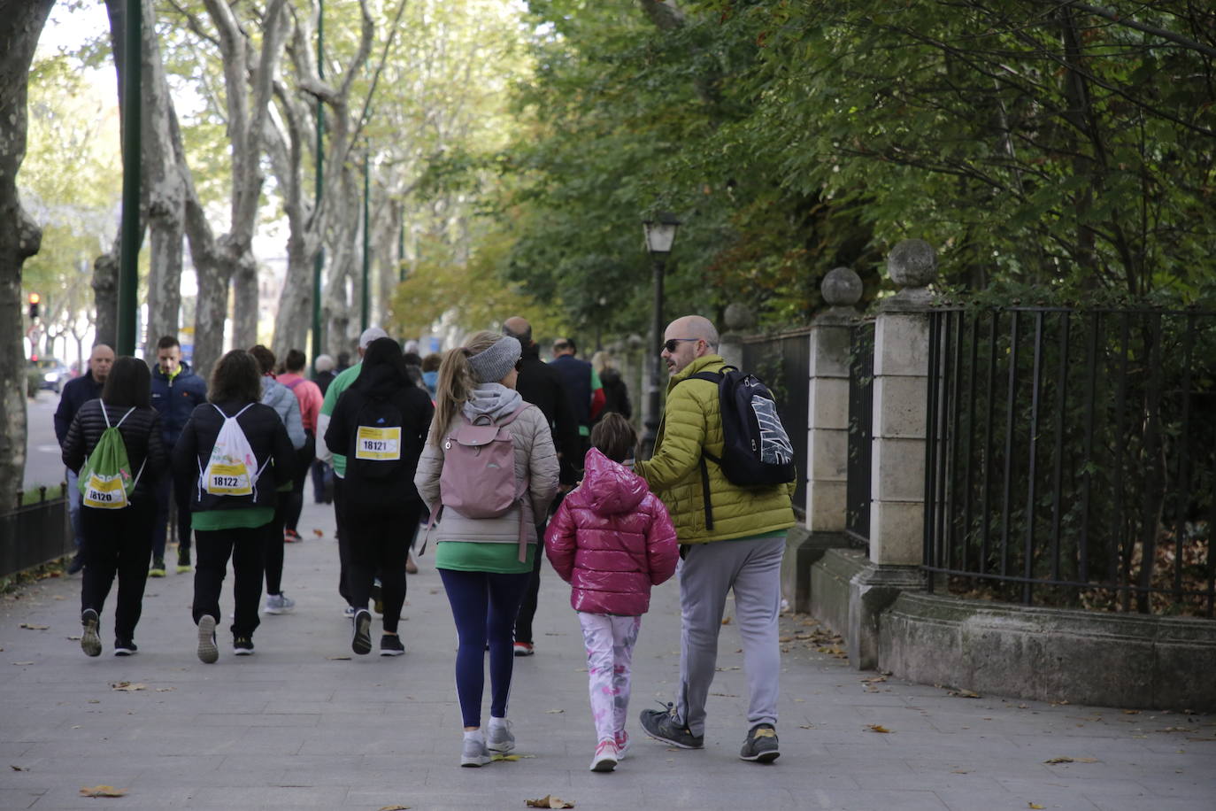 Fotos: La marcha contra el cáncer llena Valladolid de verde