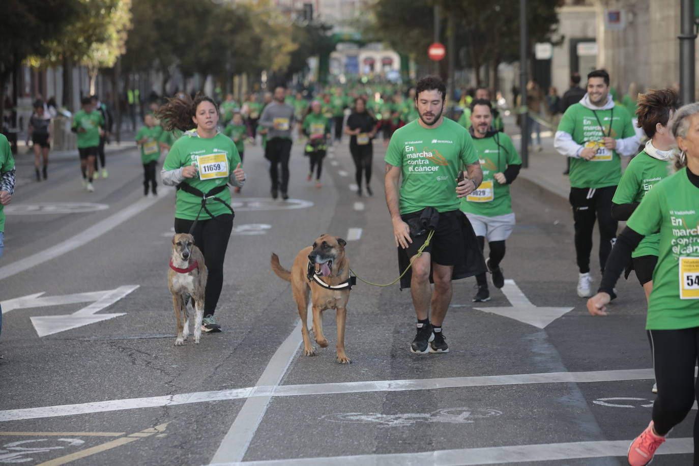 Fotos: La marcha contra el cáncer llena Valladolid de verde