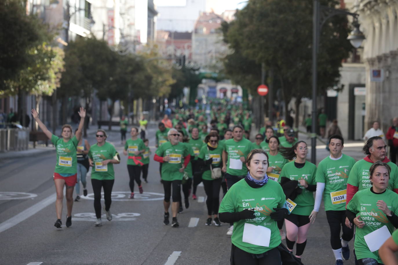 Fotos: La marcha contra el cáncer llena Valladolid de verde