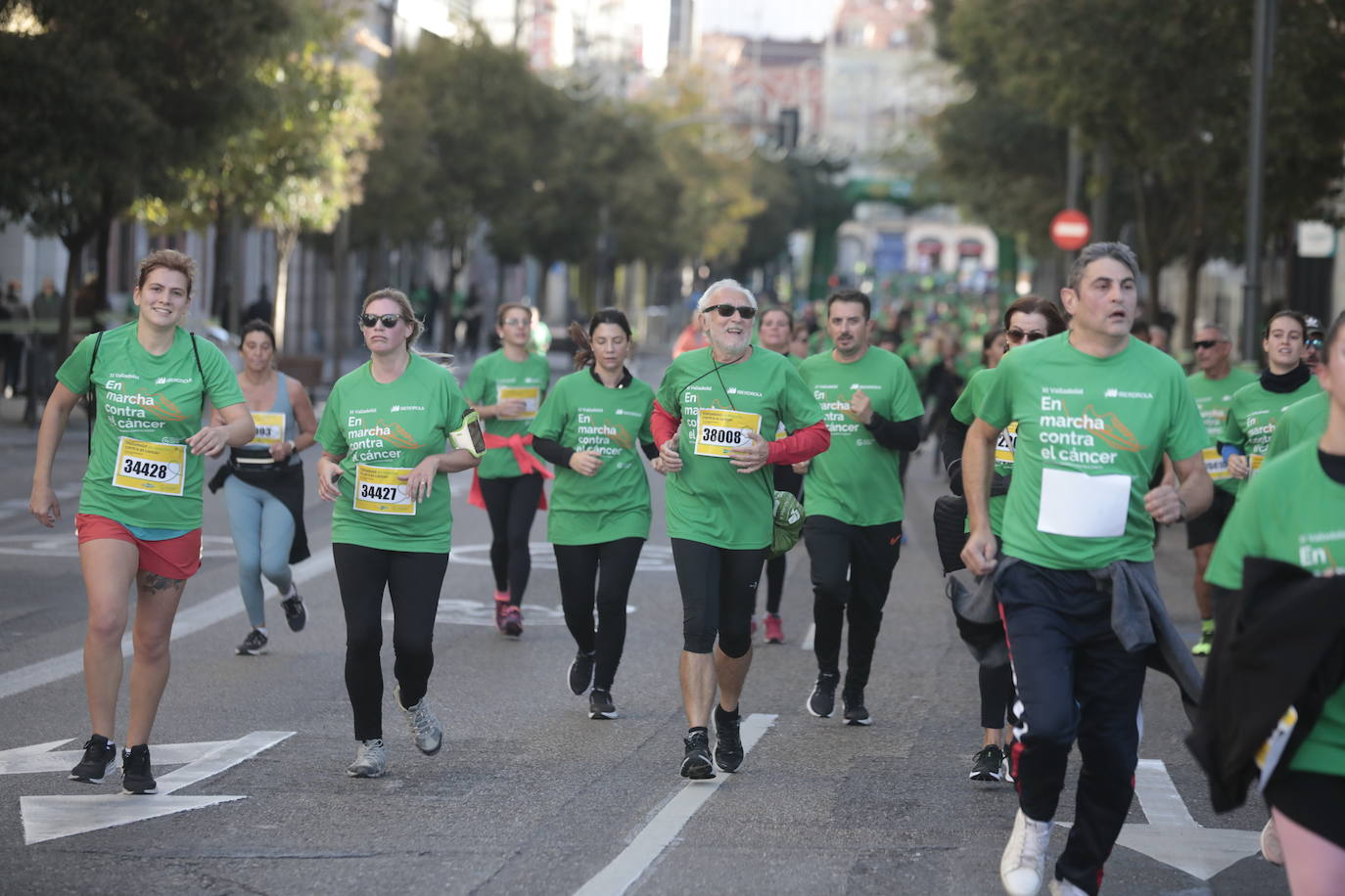 Fotos: La marcha contra el cáncer llena Valladolid de verde