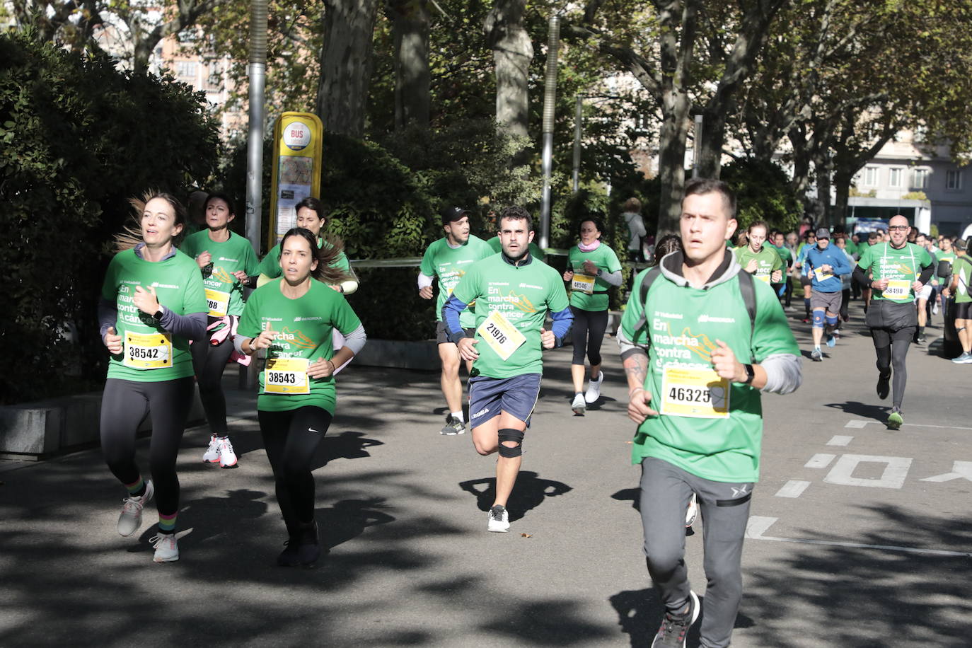 Fotos: La marcha contra el cáncer llena Valladolid de verde