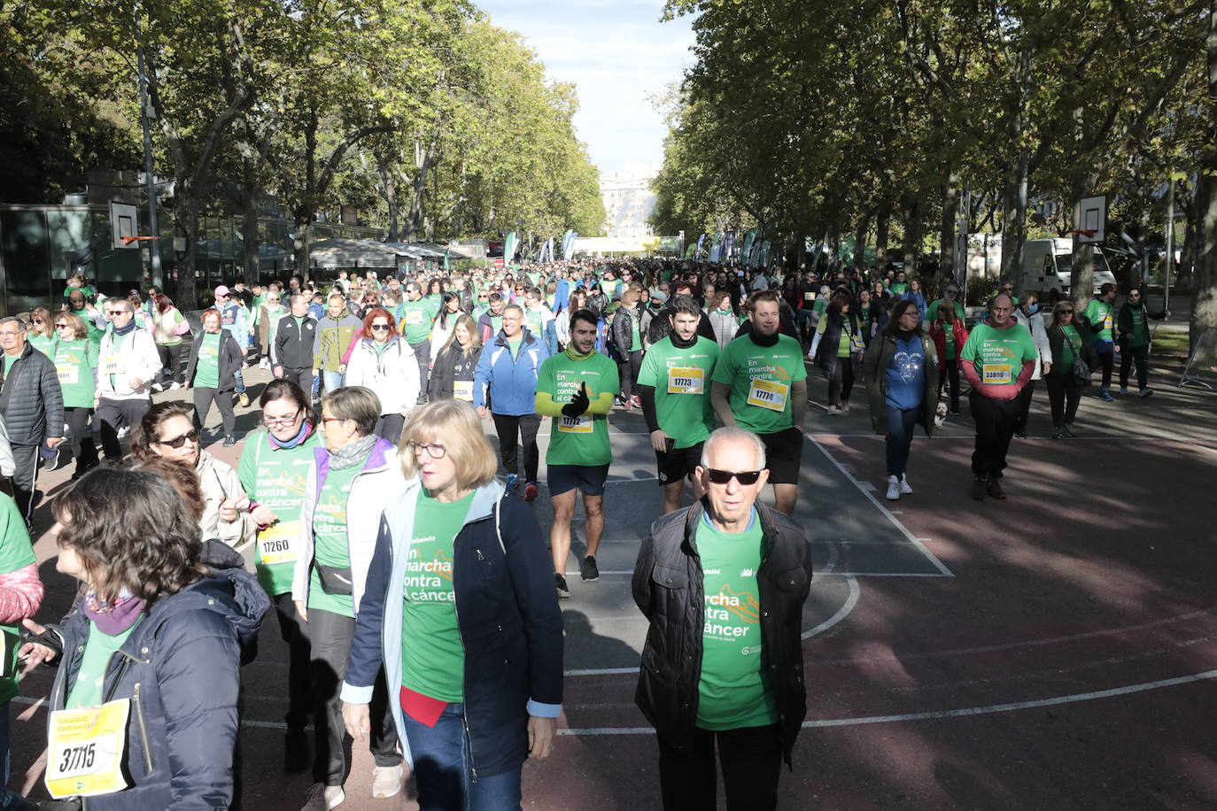 Fotos: La marcha contra el cáncer llena Valladolid de verde