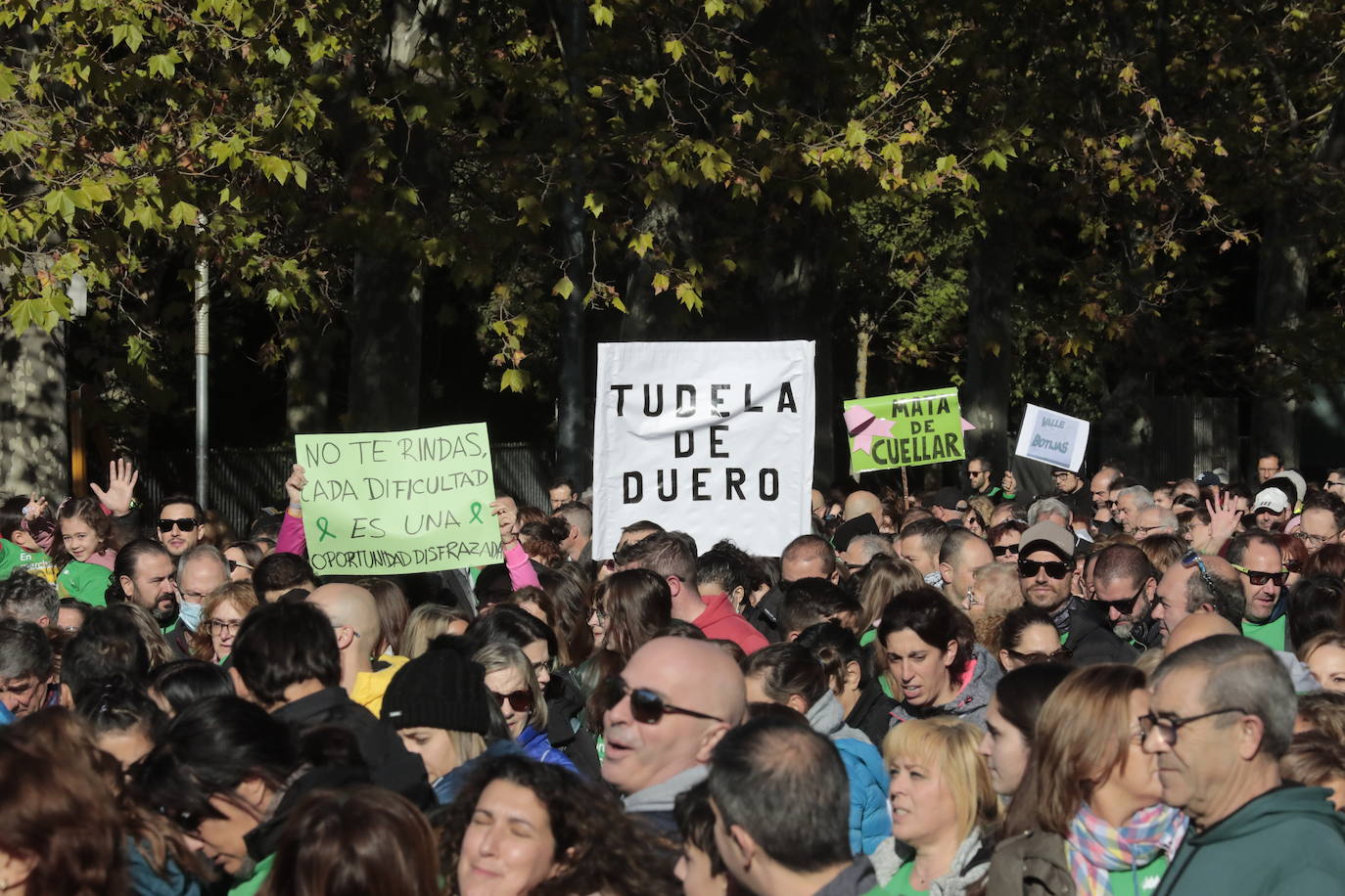 Fotos: La marcha contra el cáncer llena Valladolid de verde