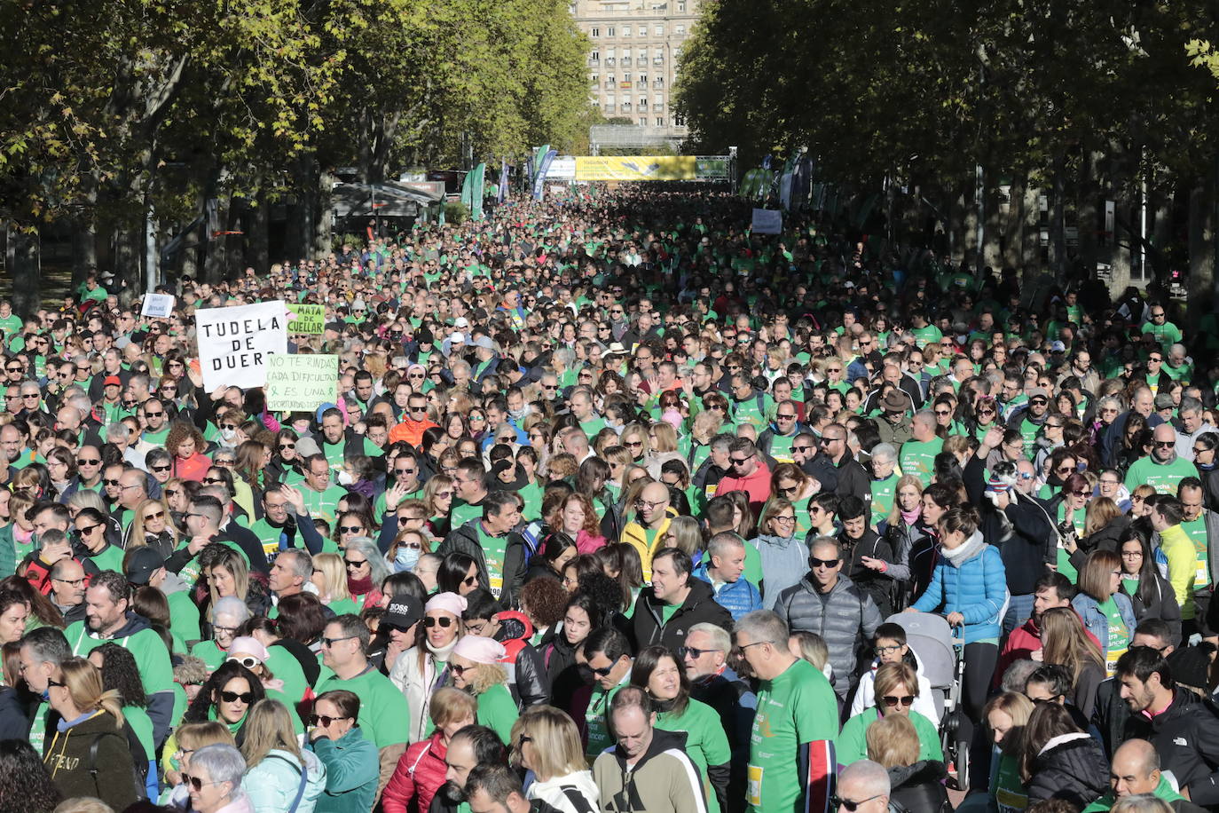 Fotos: La marcha contra el cáncer llena Valladolid de verde