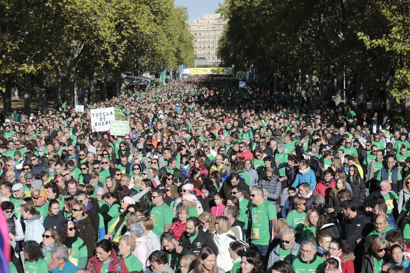 Fotos: La marcha contra el cáncer llena Valladolid de verde