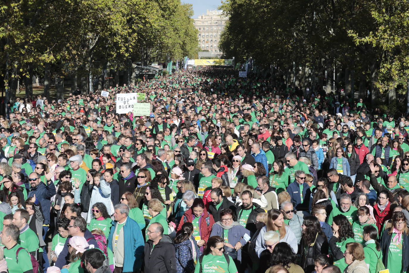 Fotos: La marcha contra el cáncer llena Valladolid de verde