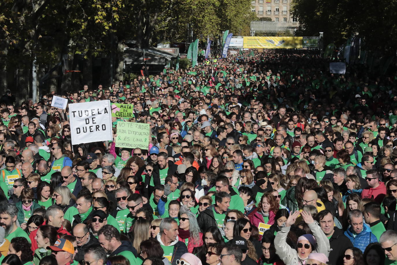 Fotos: La marcha contra el cáncer llena Valladolid de verde