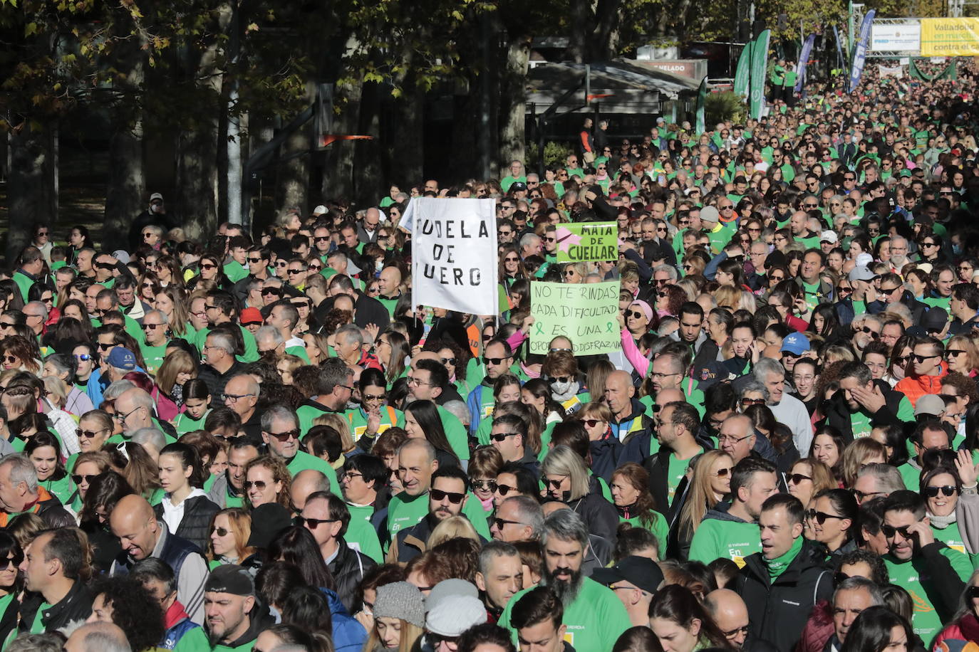 Fotos: La marcha contra el cáncer llena Valladolid de verde