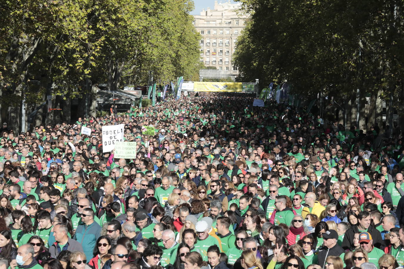 Fotos: La marcha contra el cáncer llena Valladolid de verde