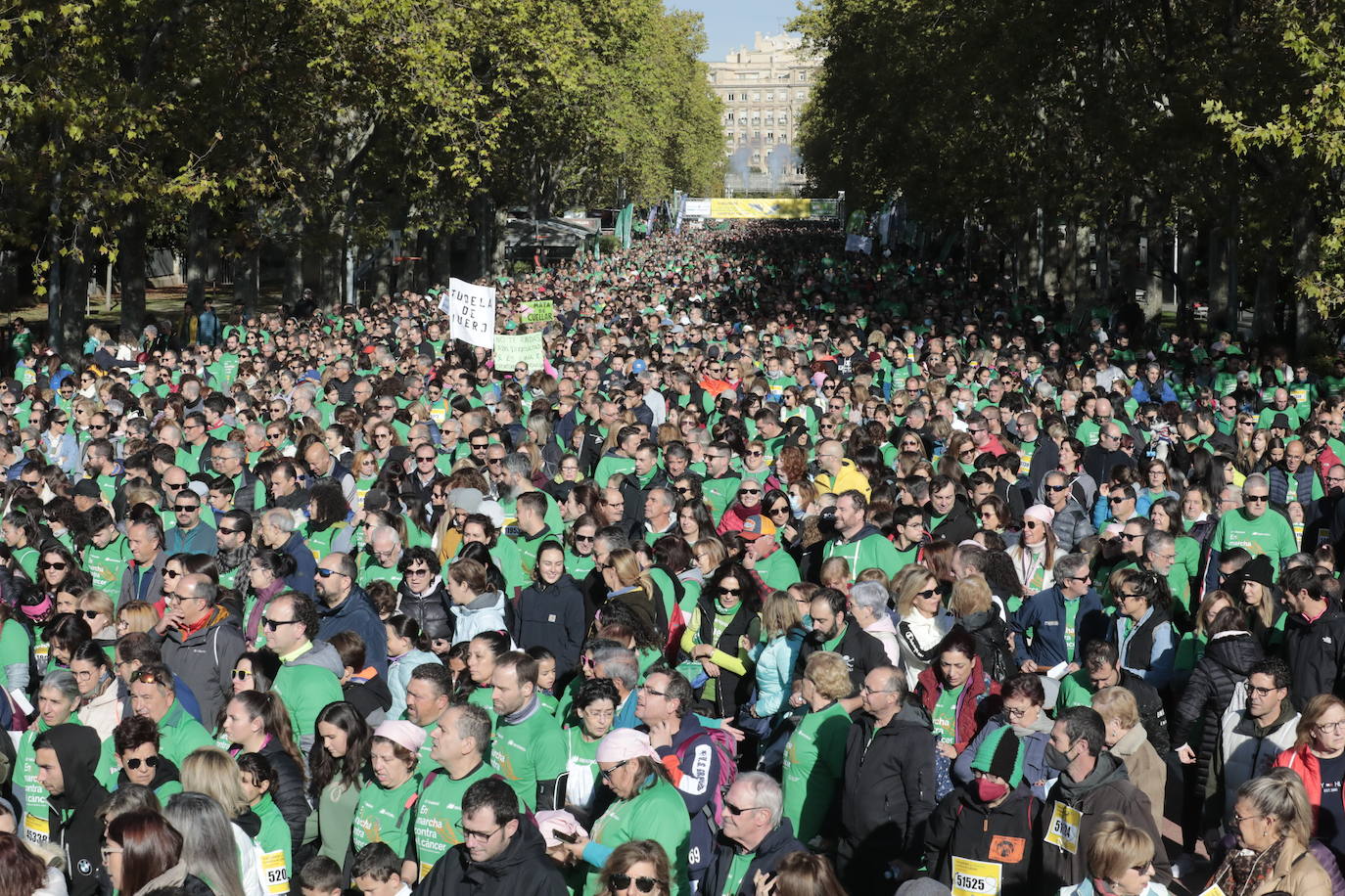 Fotos: La marcha contra el cáncer llena Valladolid de verde