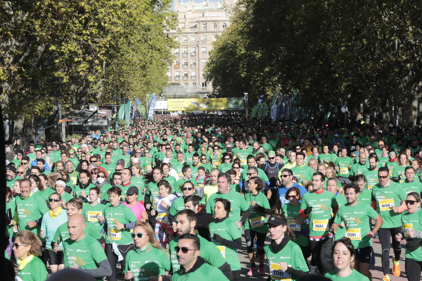 Fotos: La marcha contra el cáncer llena Valladolid de verde