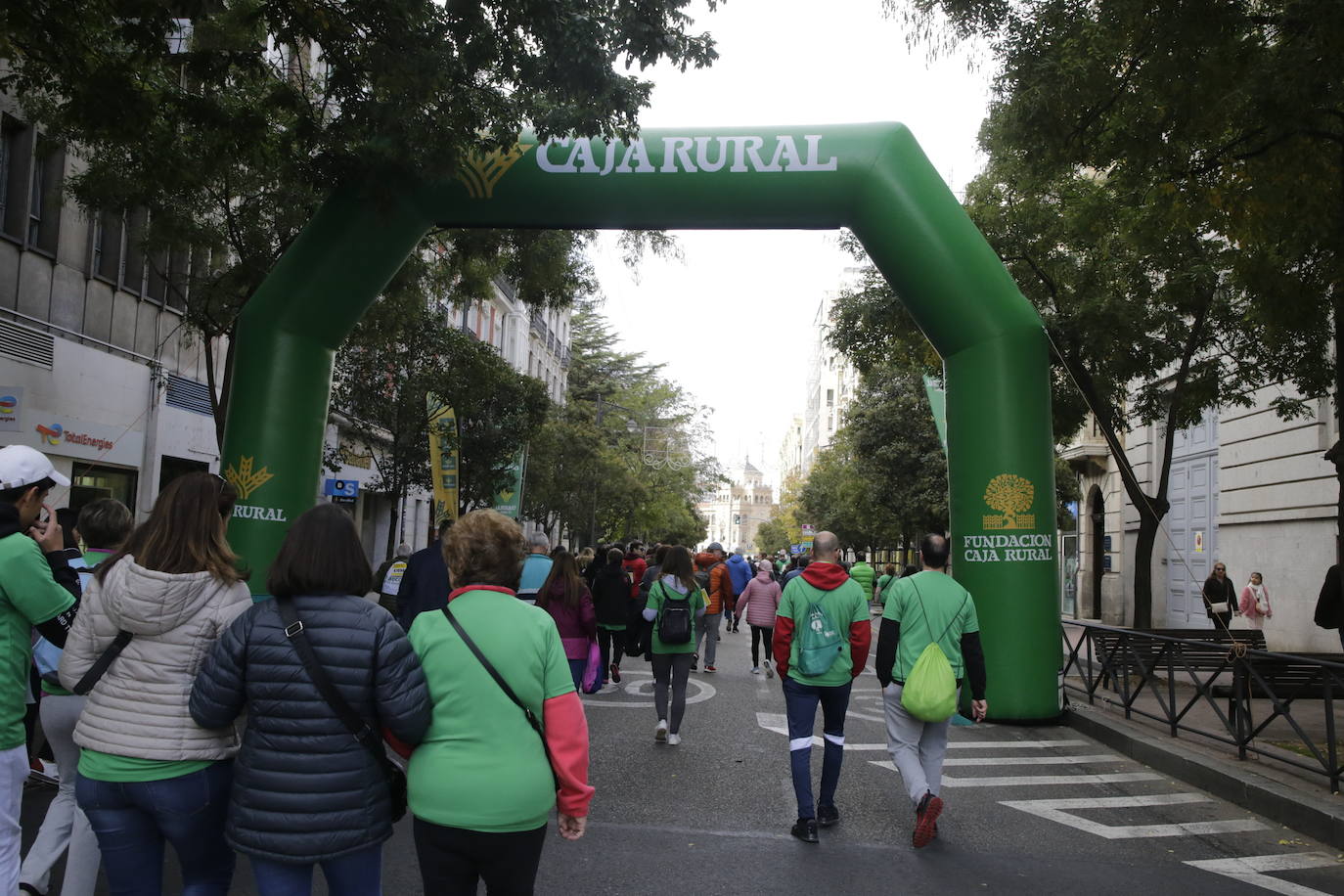 Fotos: La marcha contra el cáncer llena Valladolid de verde