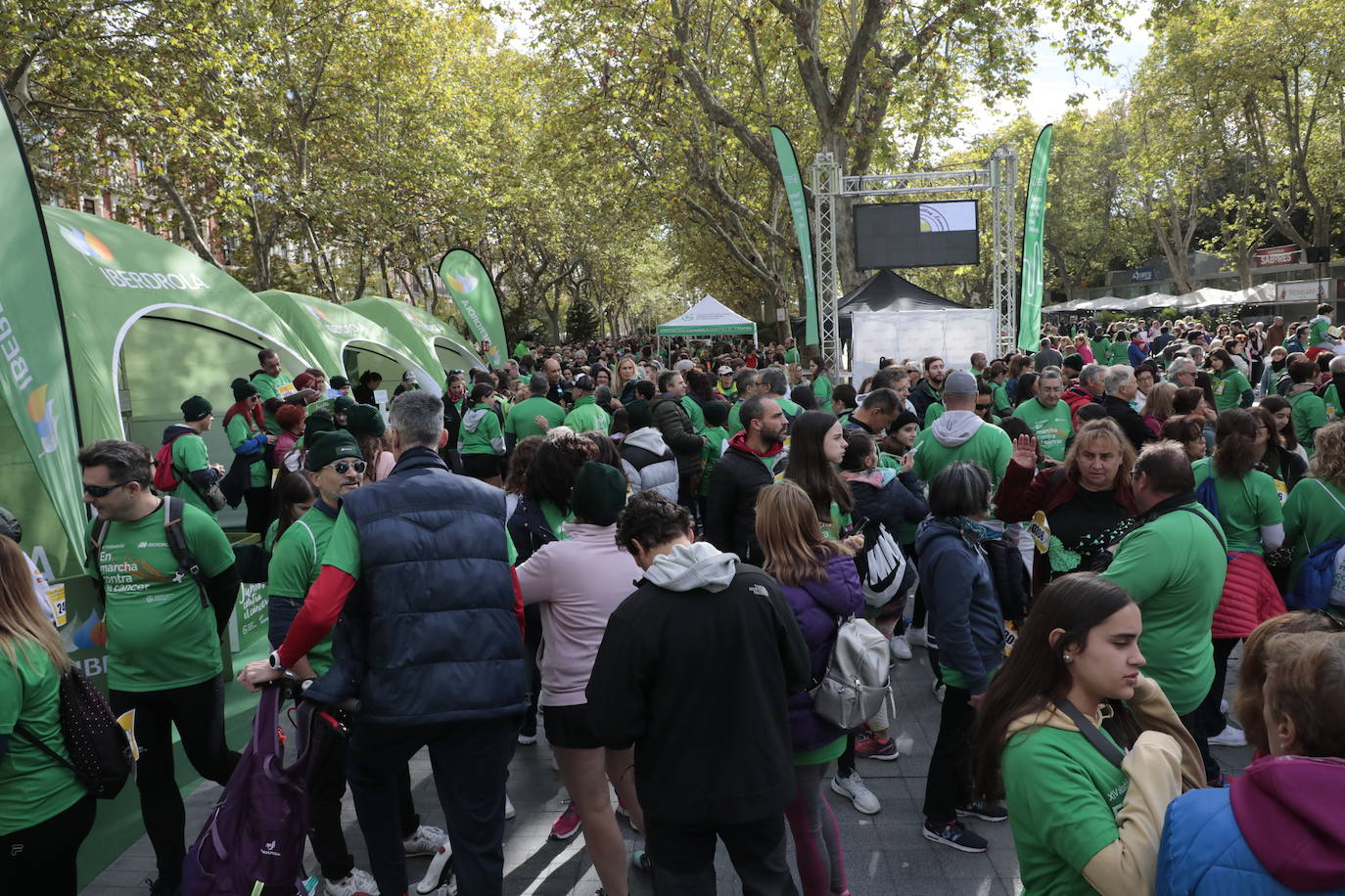 Fotos: La marcha contra el cáncer llena Valladolid de verde