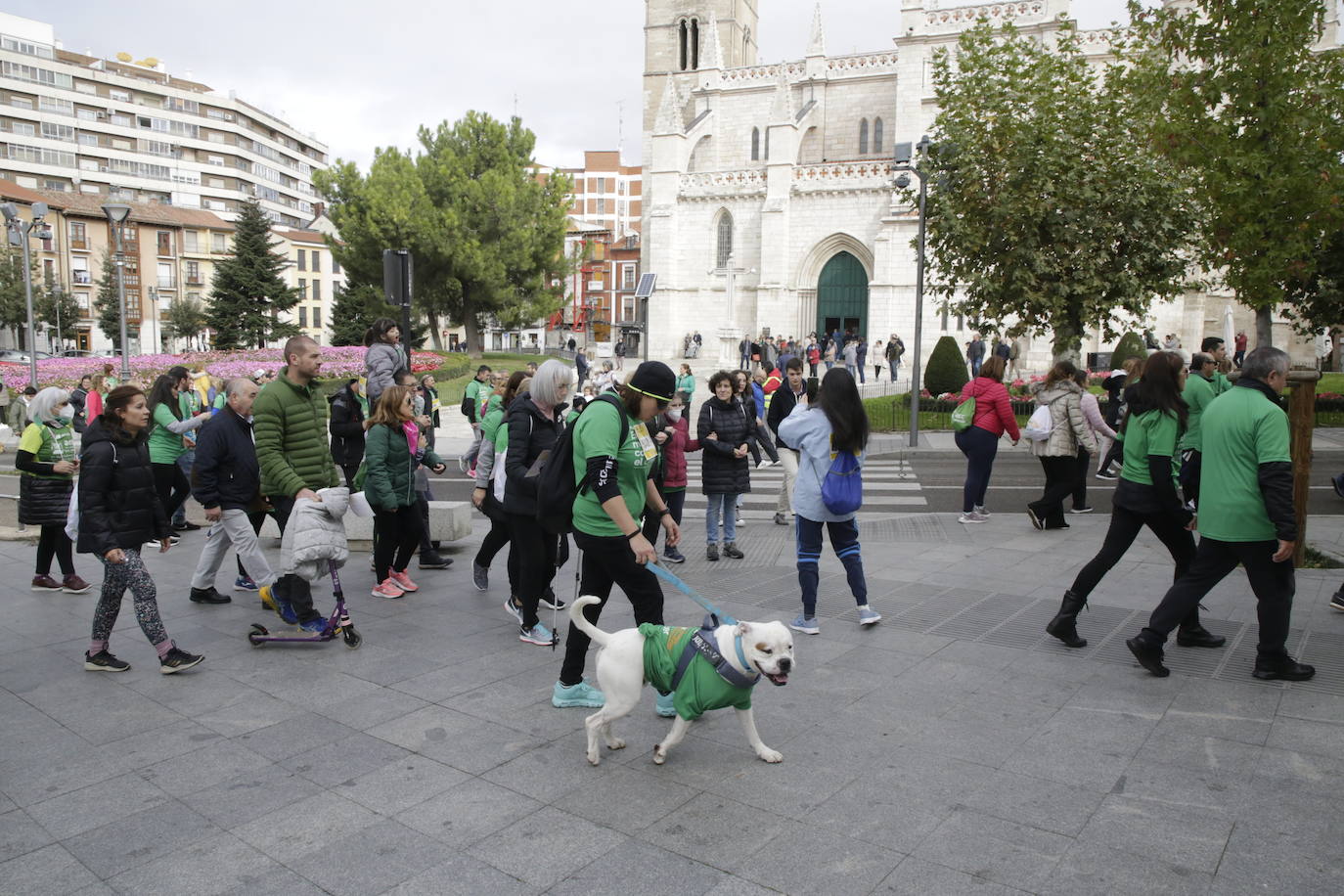 Fotos: La marcha contra el cáncer llena Valladolid de verde