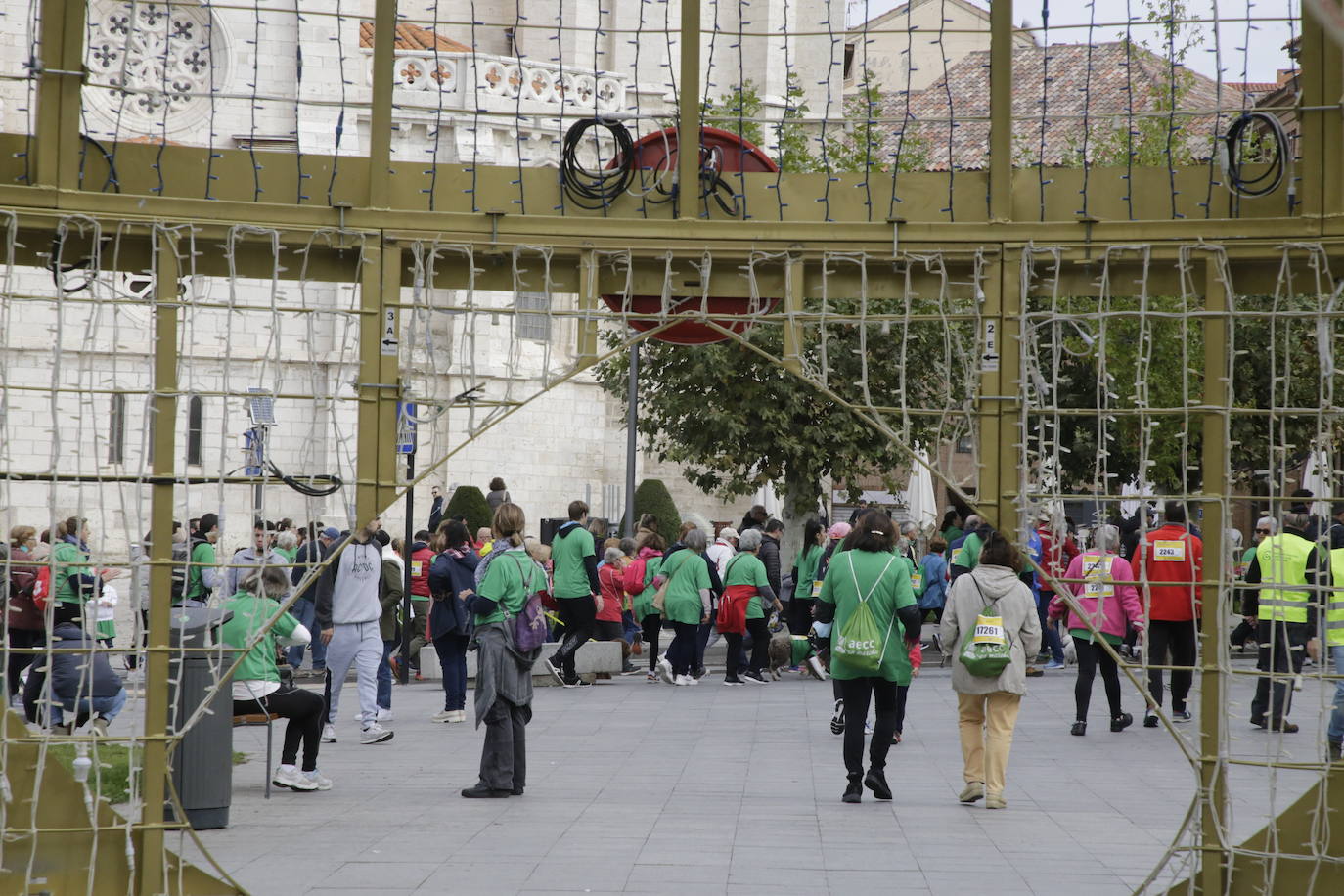 Fotos: La marcha contra el cáncer llena Valladolid de verde