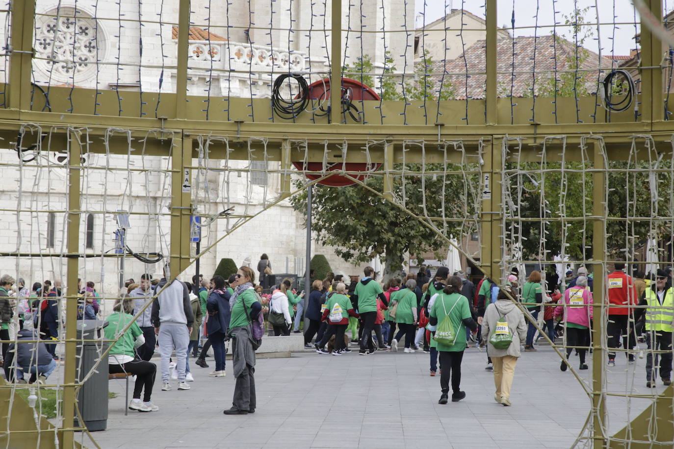 Fotos: La marcha contra el cáncer llena Valladolid de verde