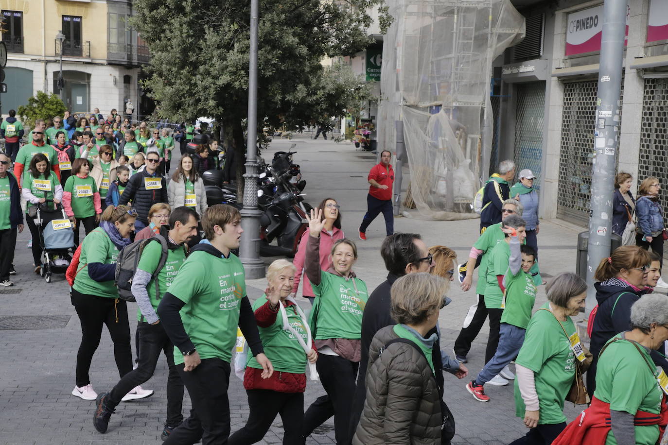 Fotos: La marcha contra el cáncer llena Valladolid de verde