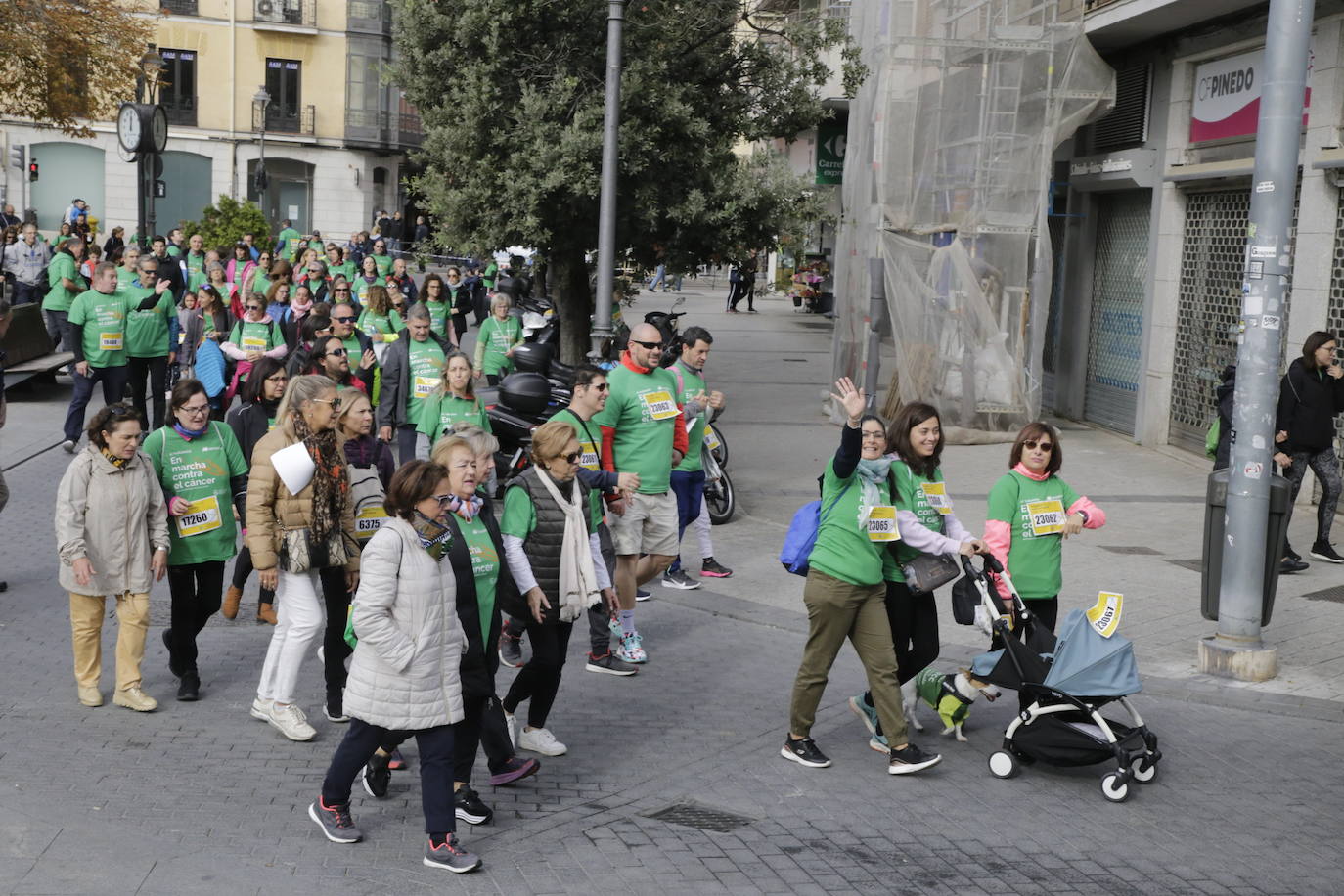 Fotos: La marcha contra el cáncer llena Valladolid de verde