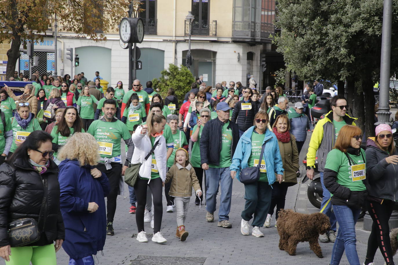 Fotos: La marcha contra el cáncer llena Valladolid de verde