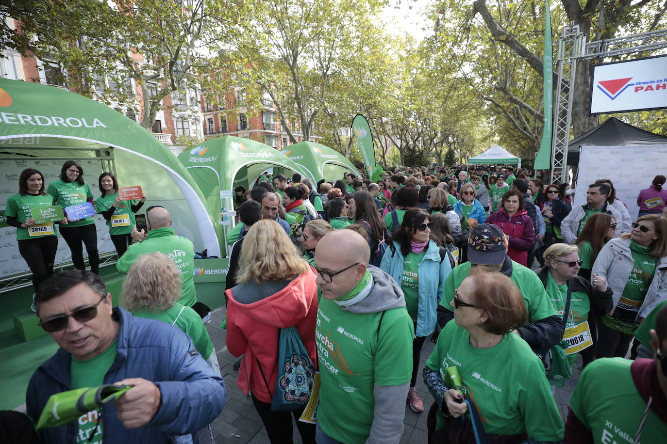 Fotos: La marcha contra el cáncer llena Valladolid de verde