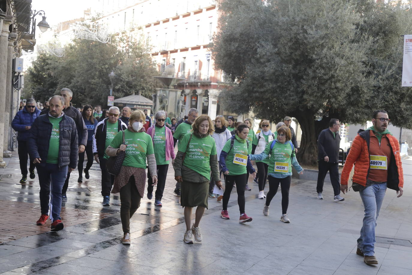 Fotos: La marcha contra el cáncer llena Valladolid de verde