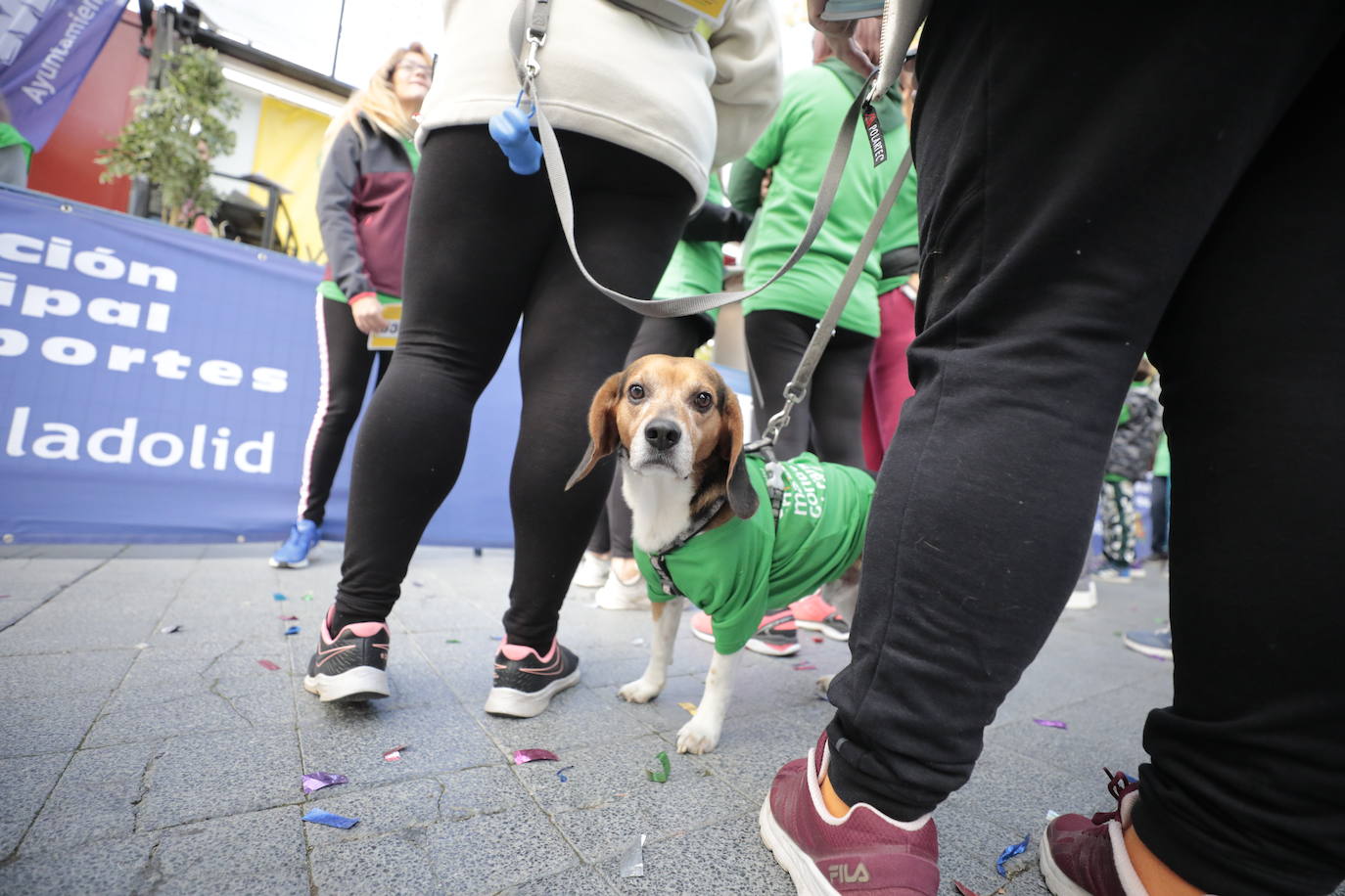 Fotos: La marcha contra el cáncer llena Valladolid de verde