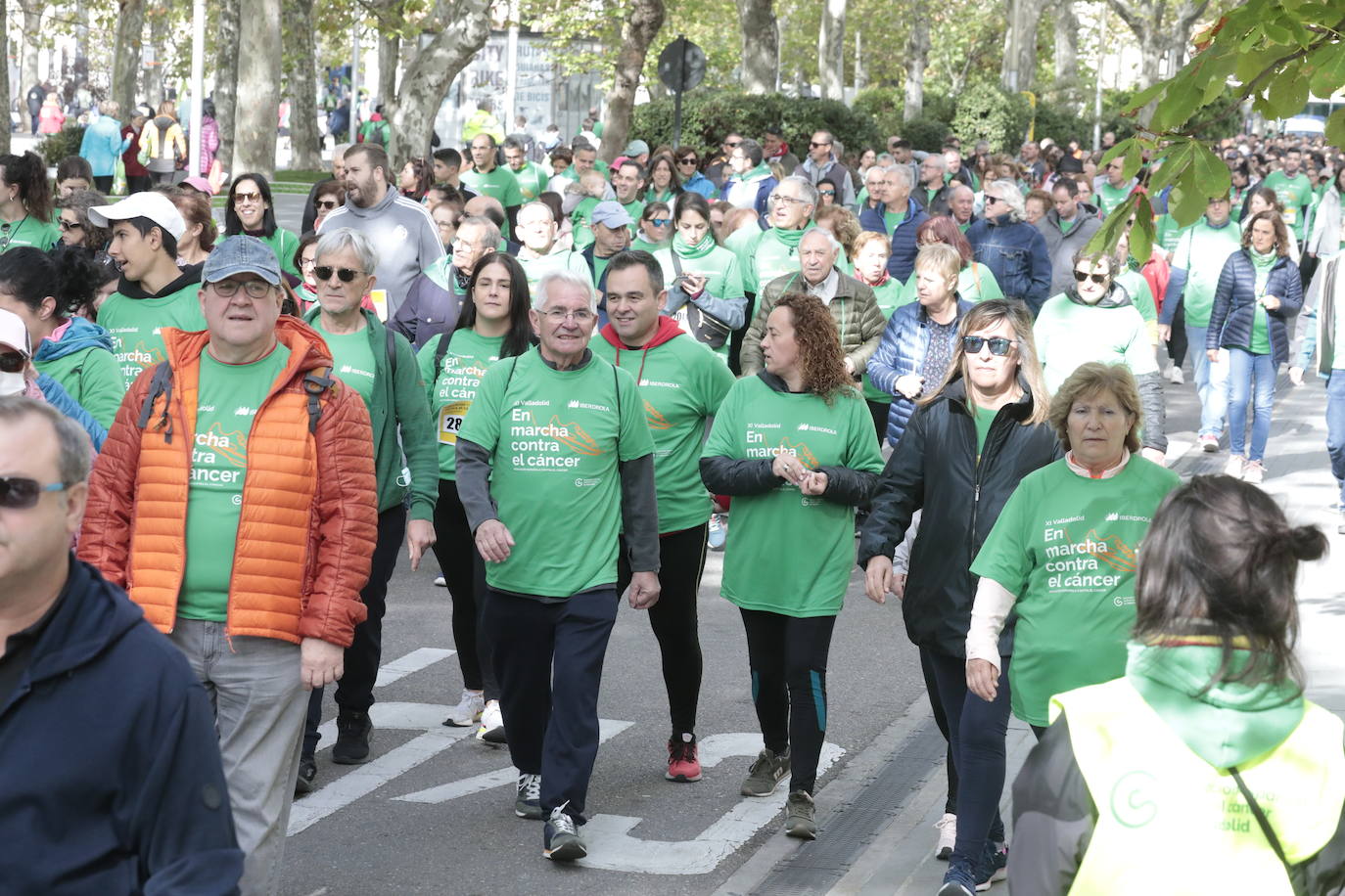 Fotos: La marcha contra el cáncer llena Valladolid de verde