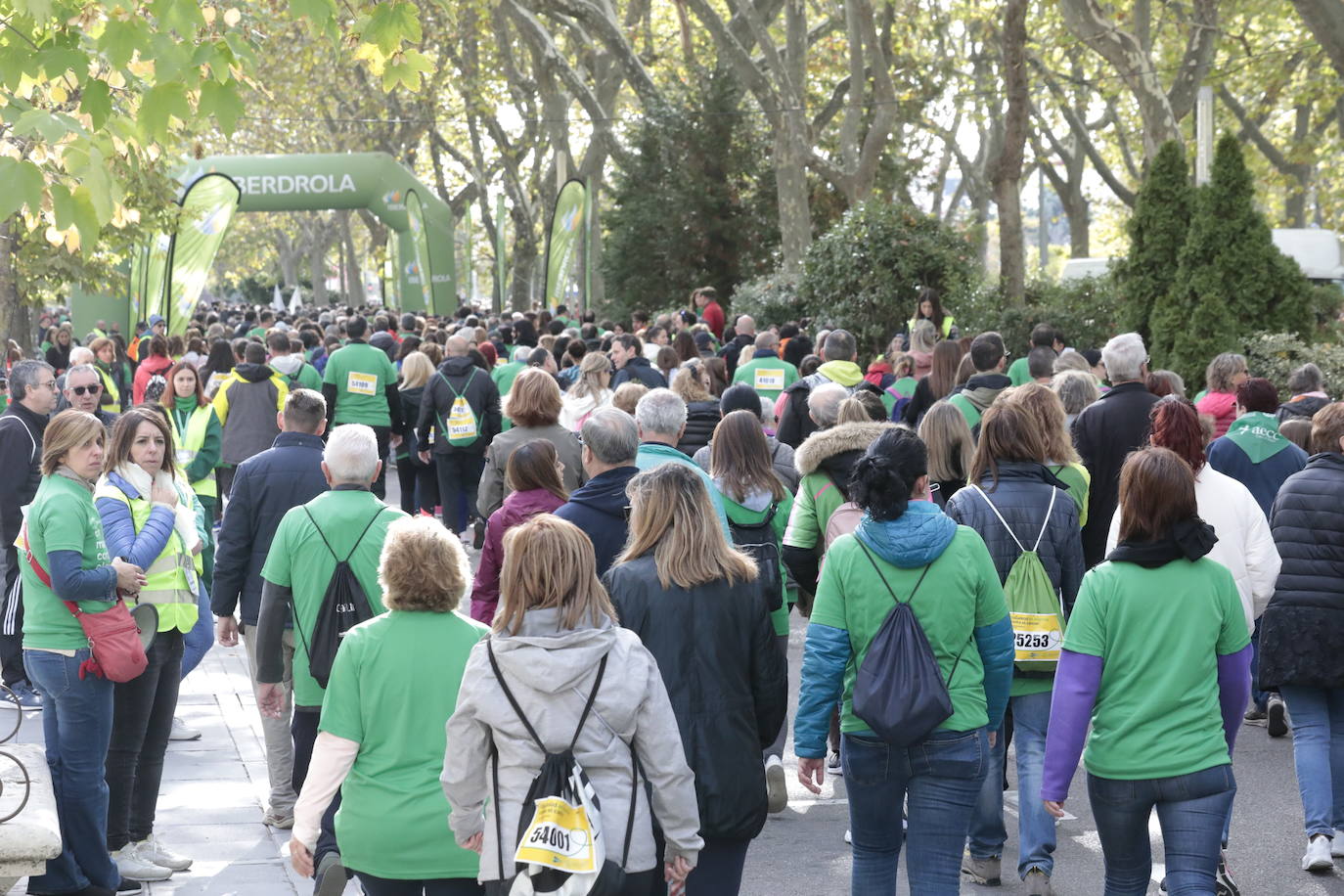 Fotos: La marcha contra el cáncer llena Valladolid de verde