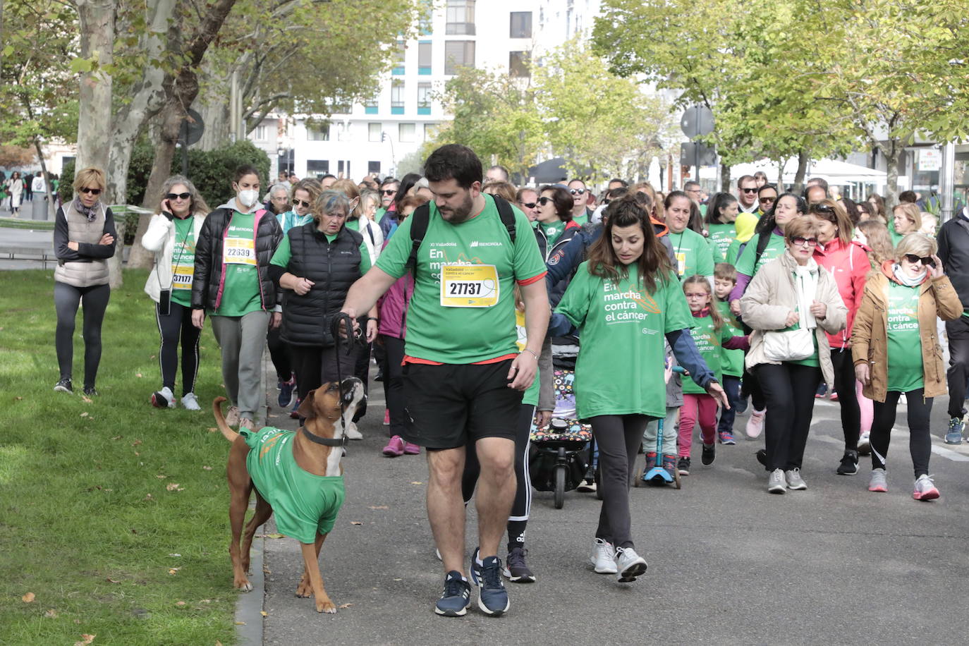 Fotos: La marcha contra el cáncer llena Valladolid de verde