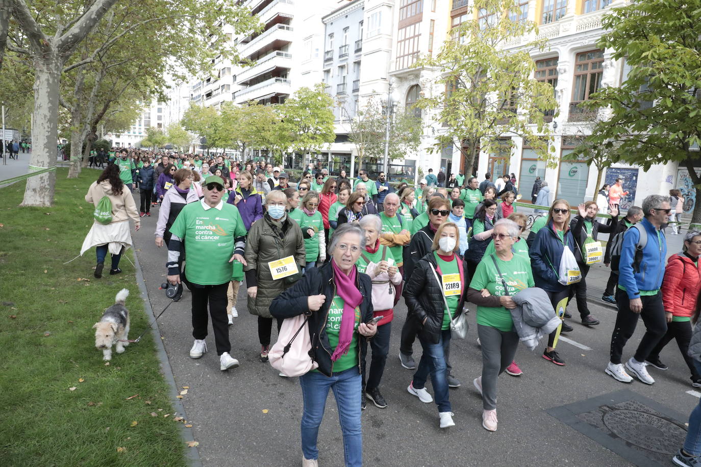 Fotos: La marcha contra el cáncer llena Valladolid de verde