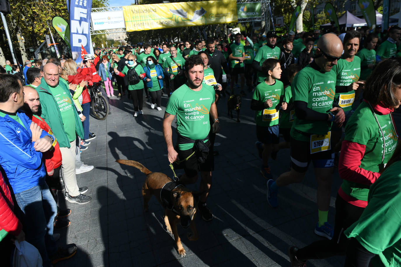 Fotos: Búscate en las fotos de la XI Marcha Contra en Cáncer