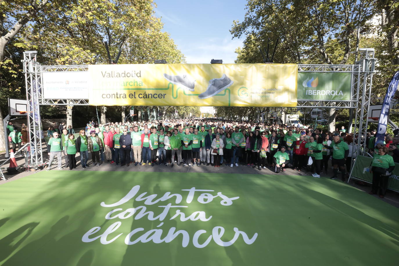 Fotos: La marcha contra el cáncer llena Valladolid de verde