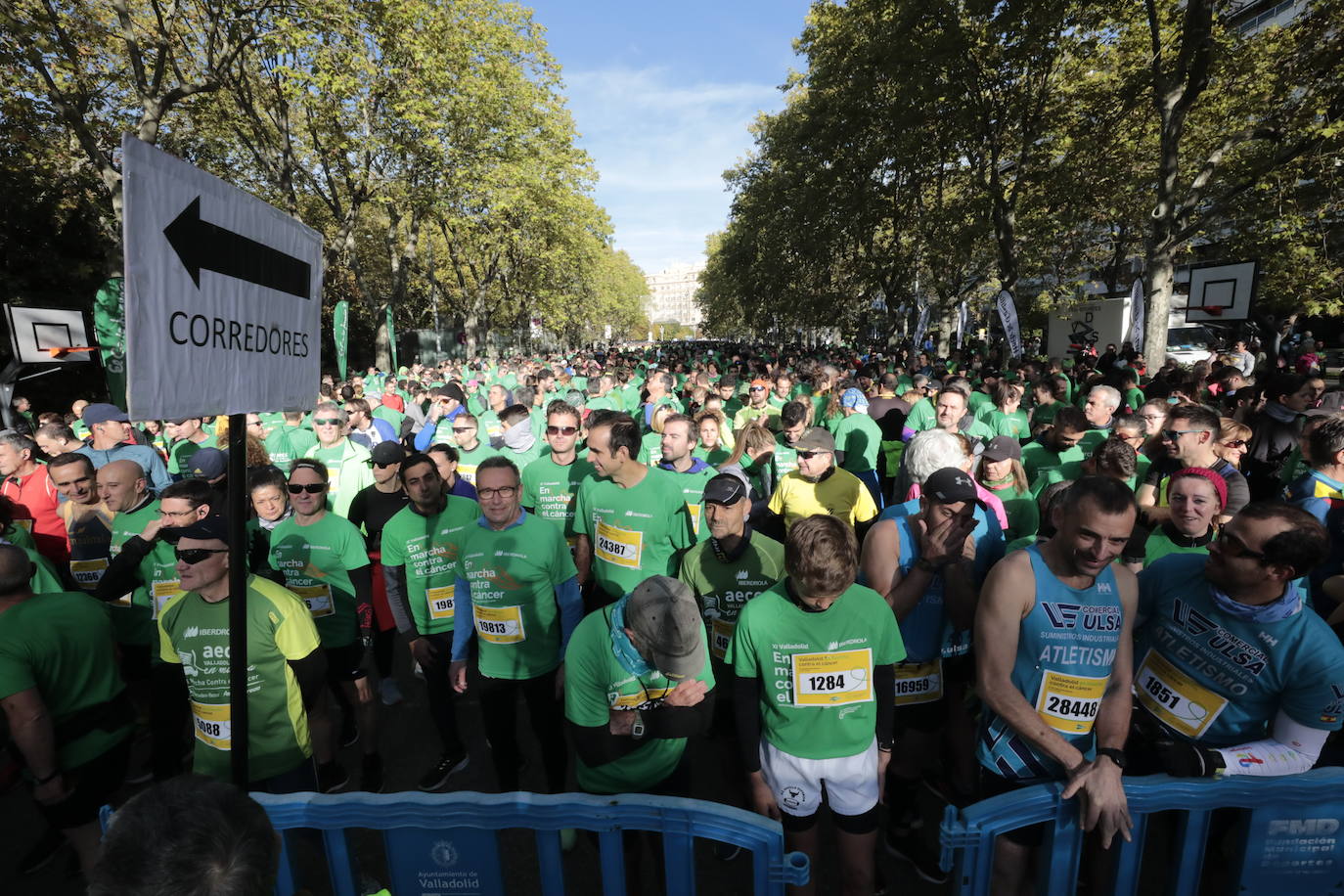 Fotos: La marcha contra el cáncer llena Valladolid de verde