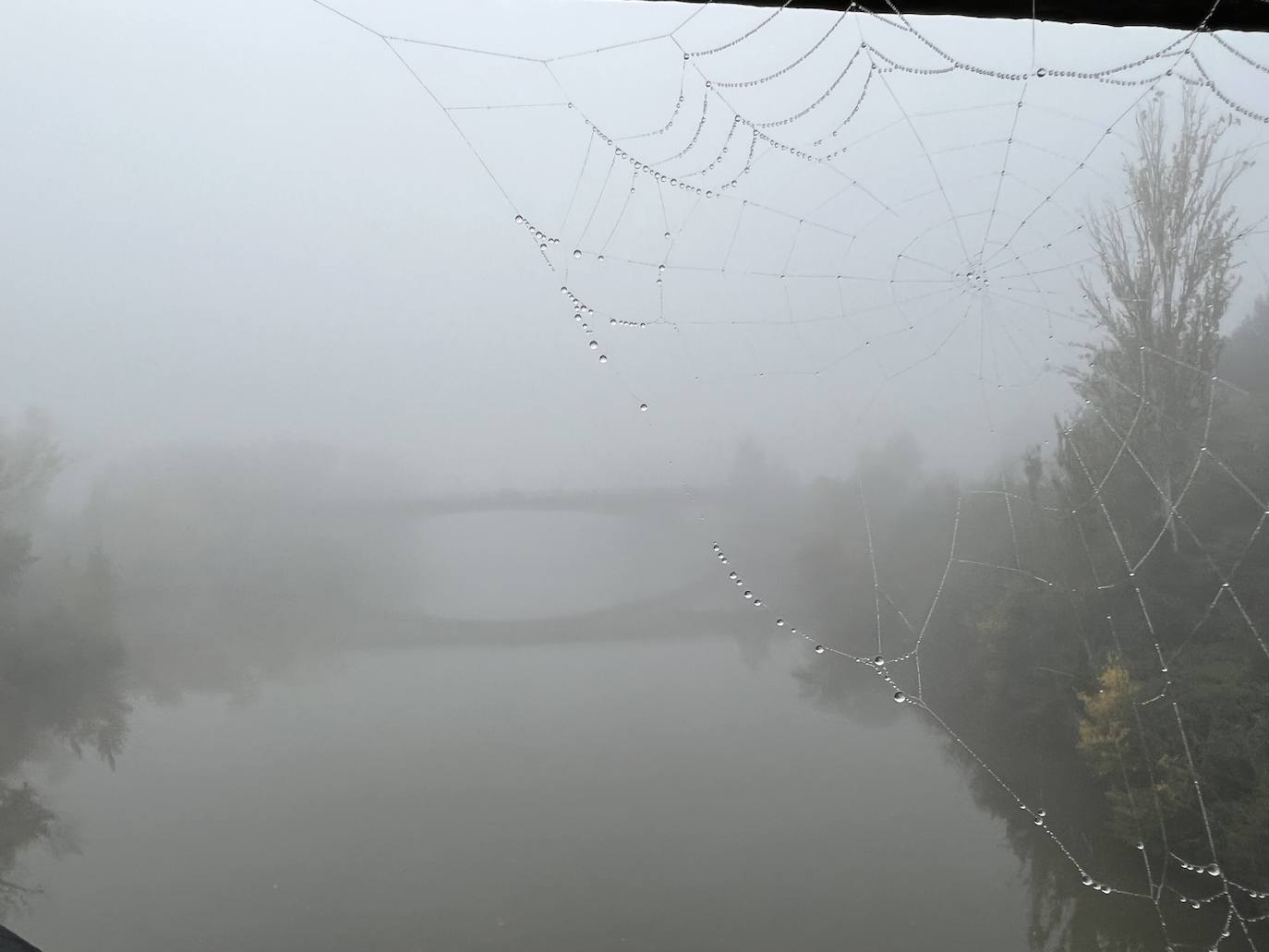 Fotos: Una densa niebla cubre la provincia de Valladolid