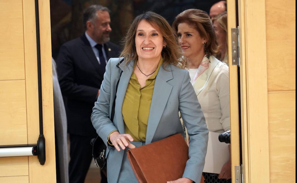 La consejera Rocío Lucas, a la entrada de la Comisión en las Cortes. 