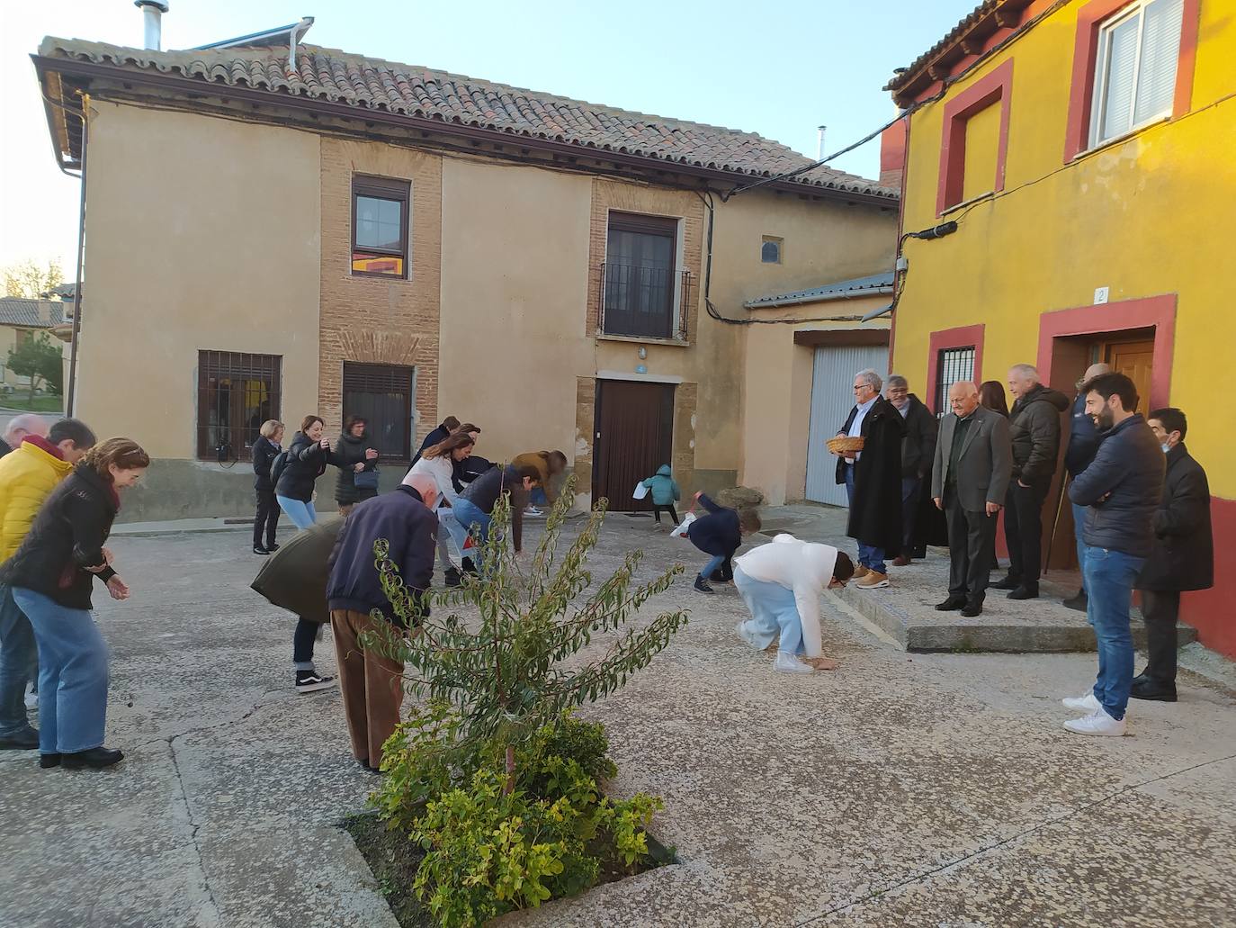 Los vecinos de Villán de Campos recogen las castañas. 