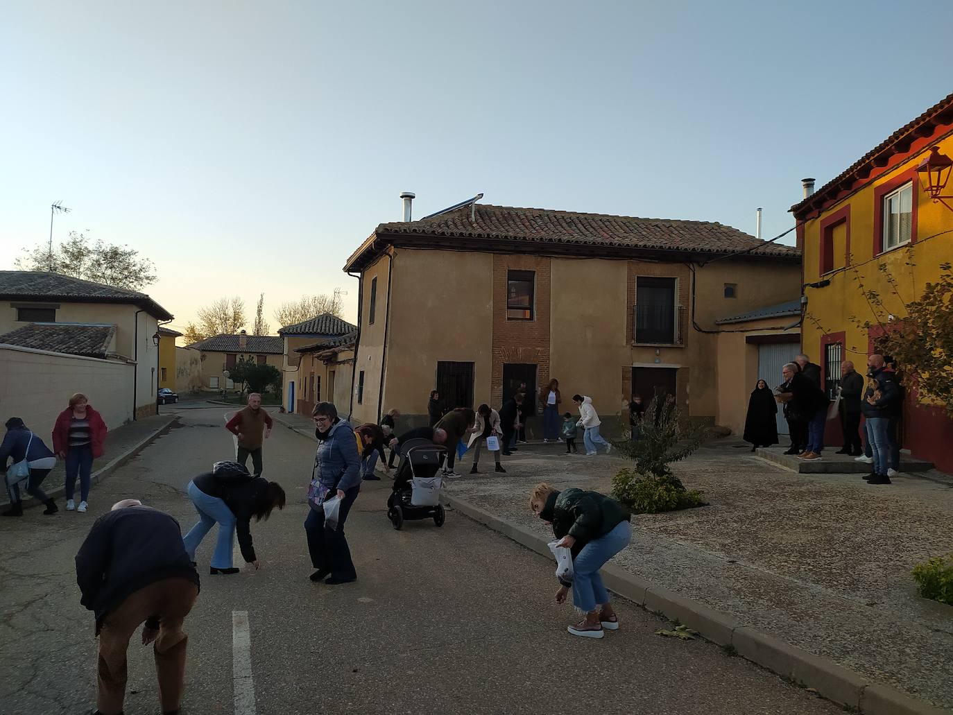 Los vecinos de Villán de Campos recogen las castañas. 