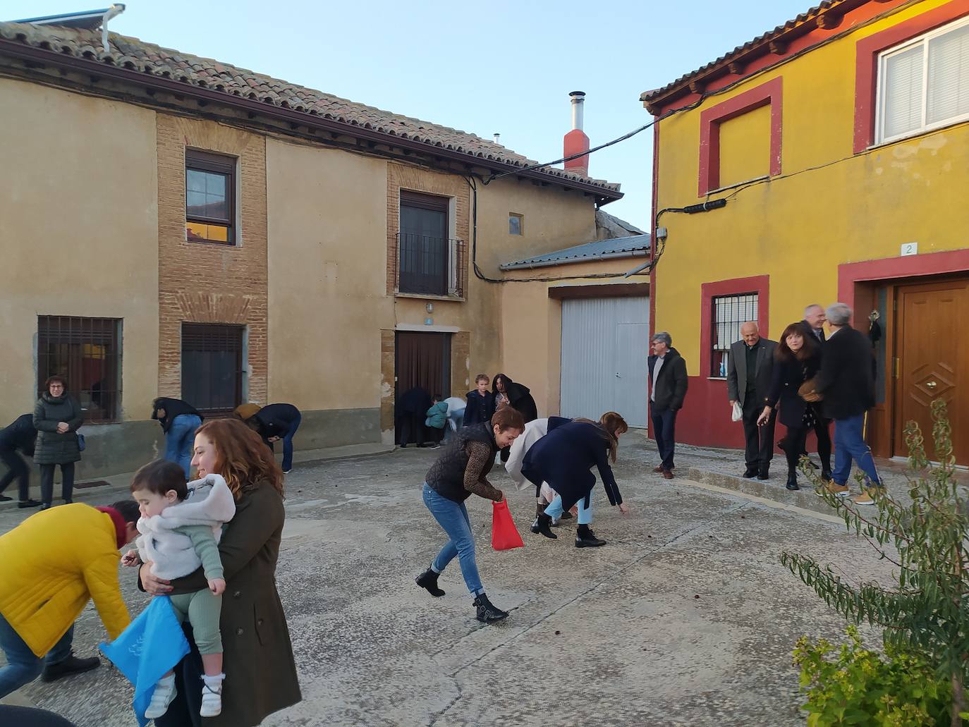 Los vecinos de Villán de Campos recogen las castañas. 