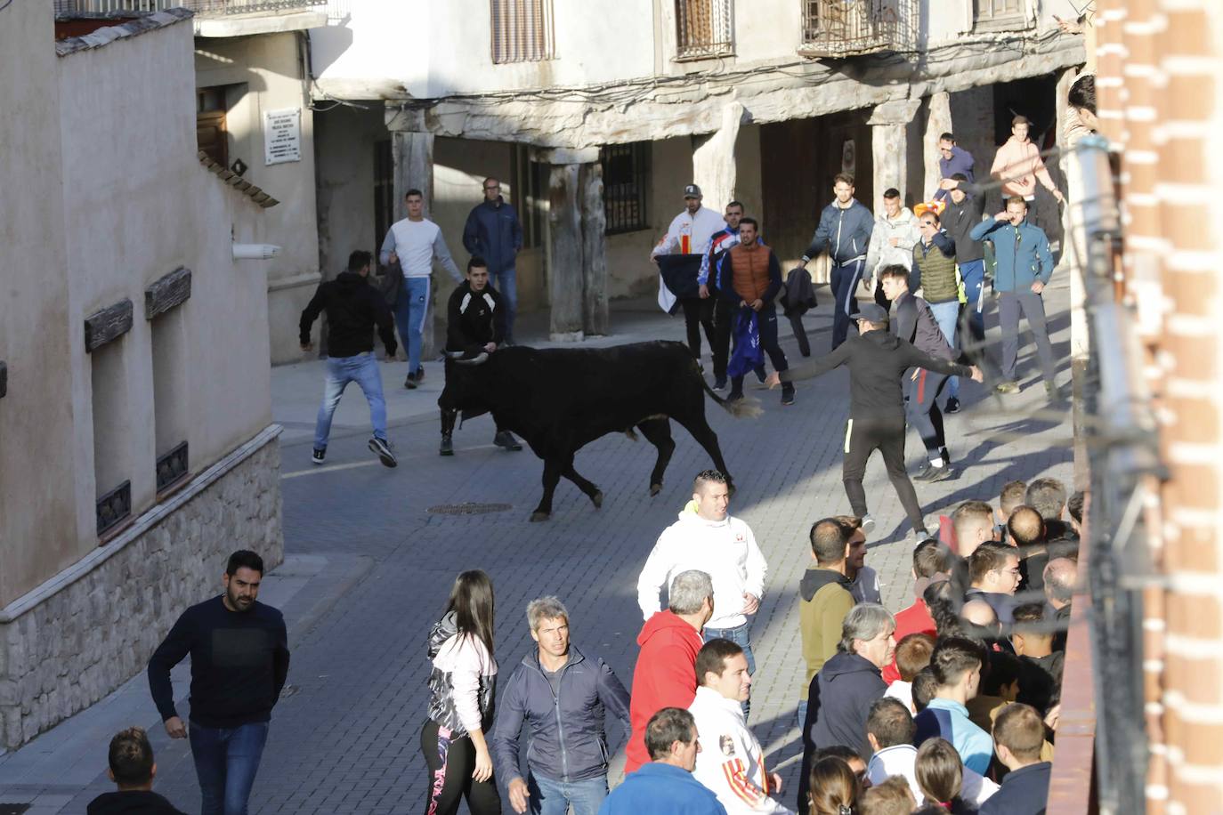 Fotos: Galería de imágenes | Encierro urbano de las fiestas de San Martín de Tours de Traspinedo