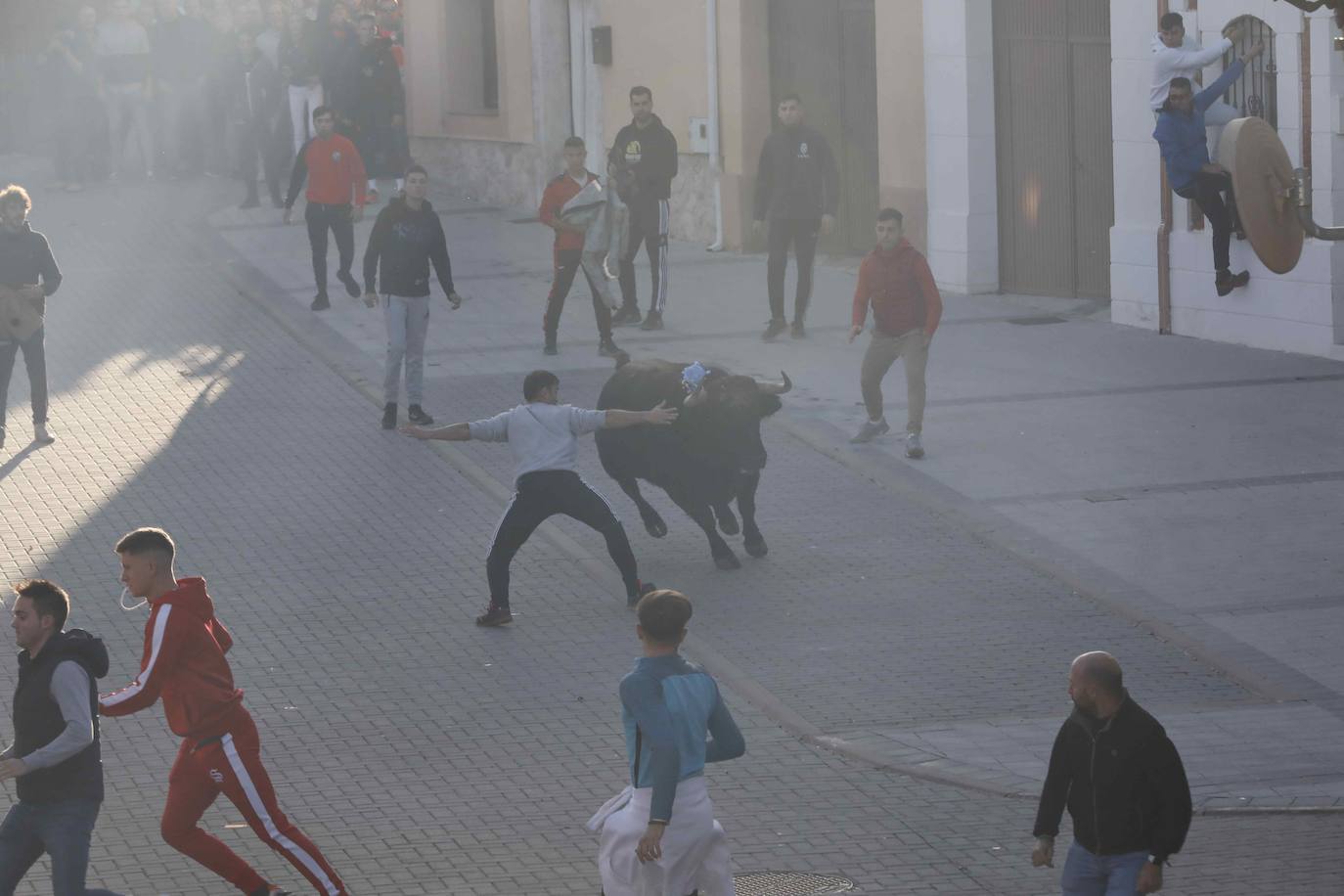 Fotos: Galería de imágenes | Encierro urbano de las fiestas de San Martín de Tours de Traspinedo