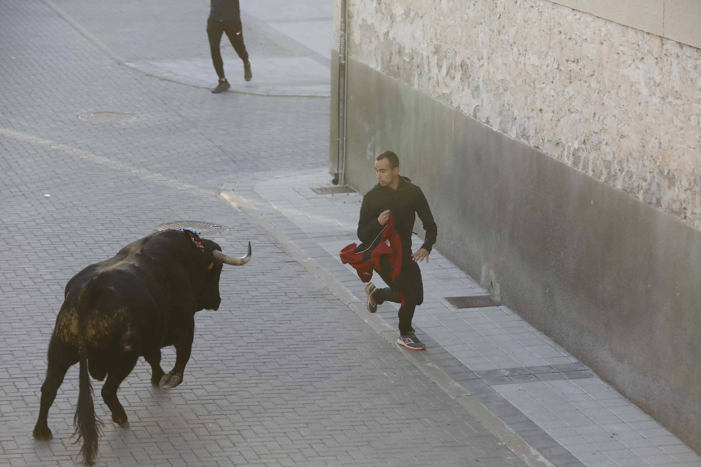 Fotos: Galería de imágenes | Encierro urbano de las fiestas de San Martín de Tours de Traspinedo