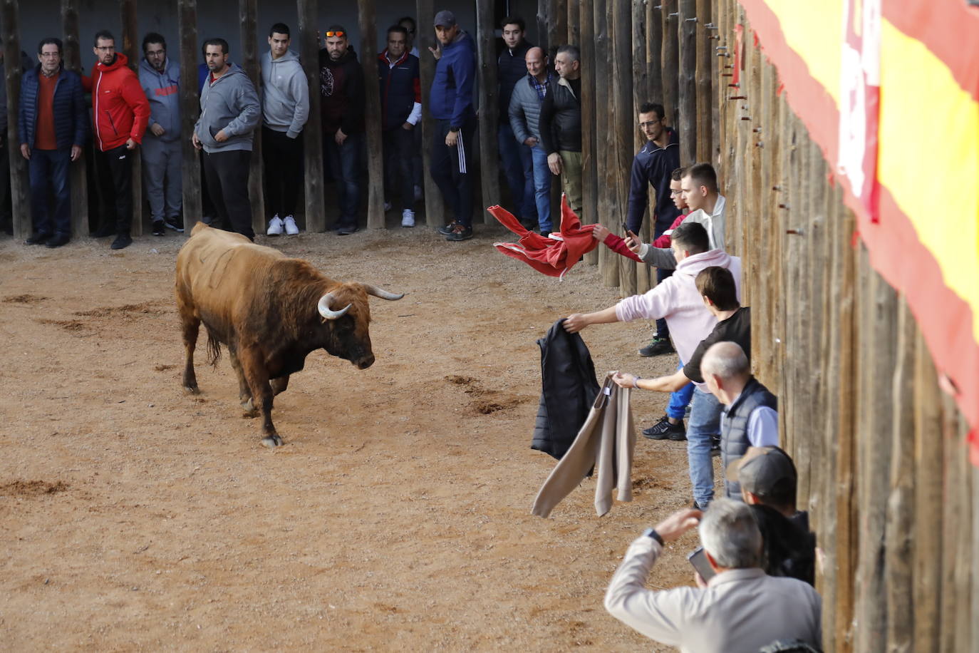 Fotos: El último encierro de Traspinedo en imágenes