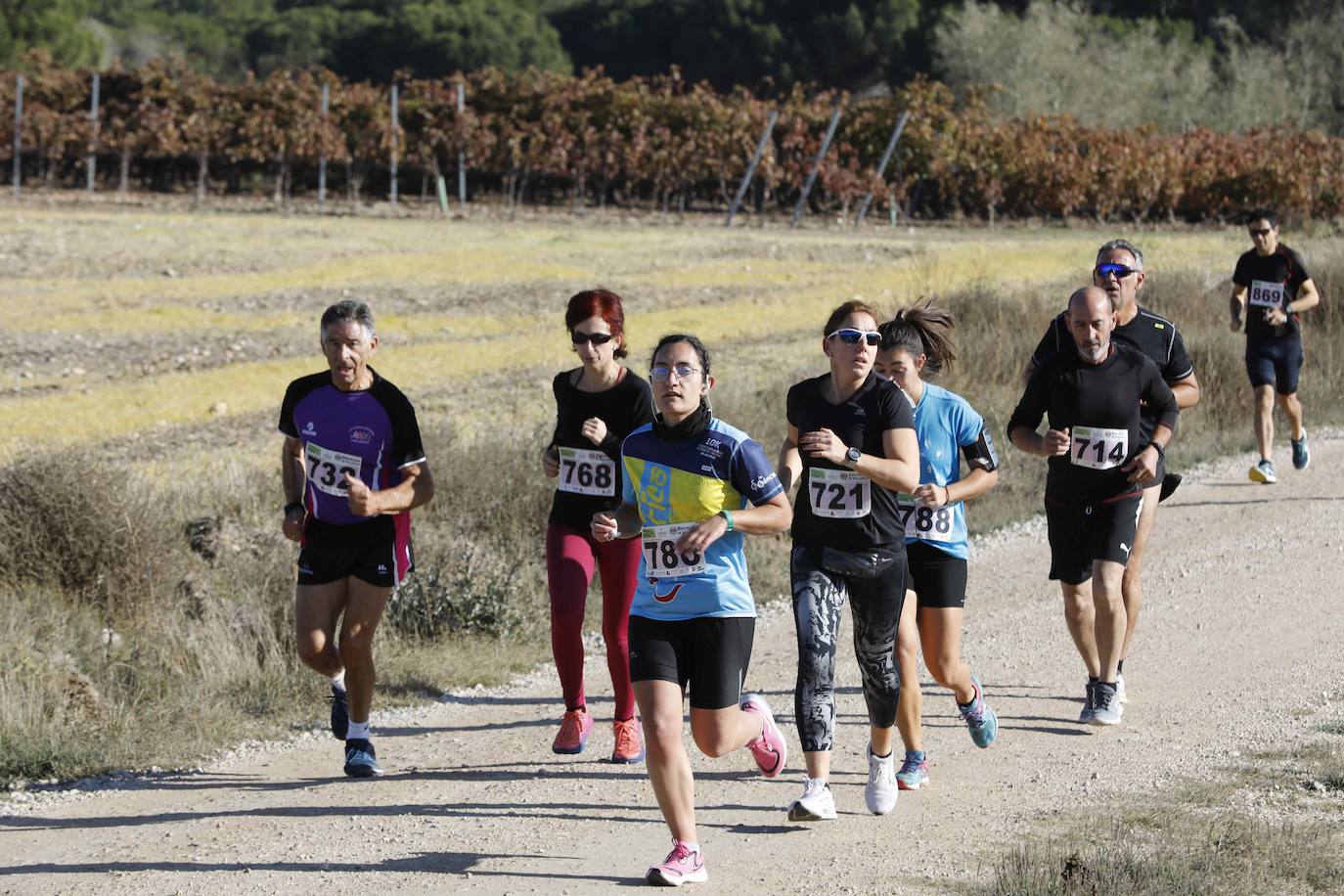 Fotos: Carrera en Peñafiel del del circuito Corriendo entre Viñas