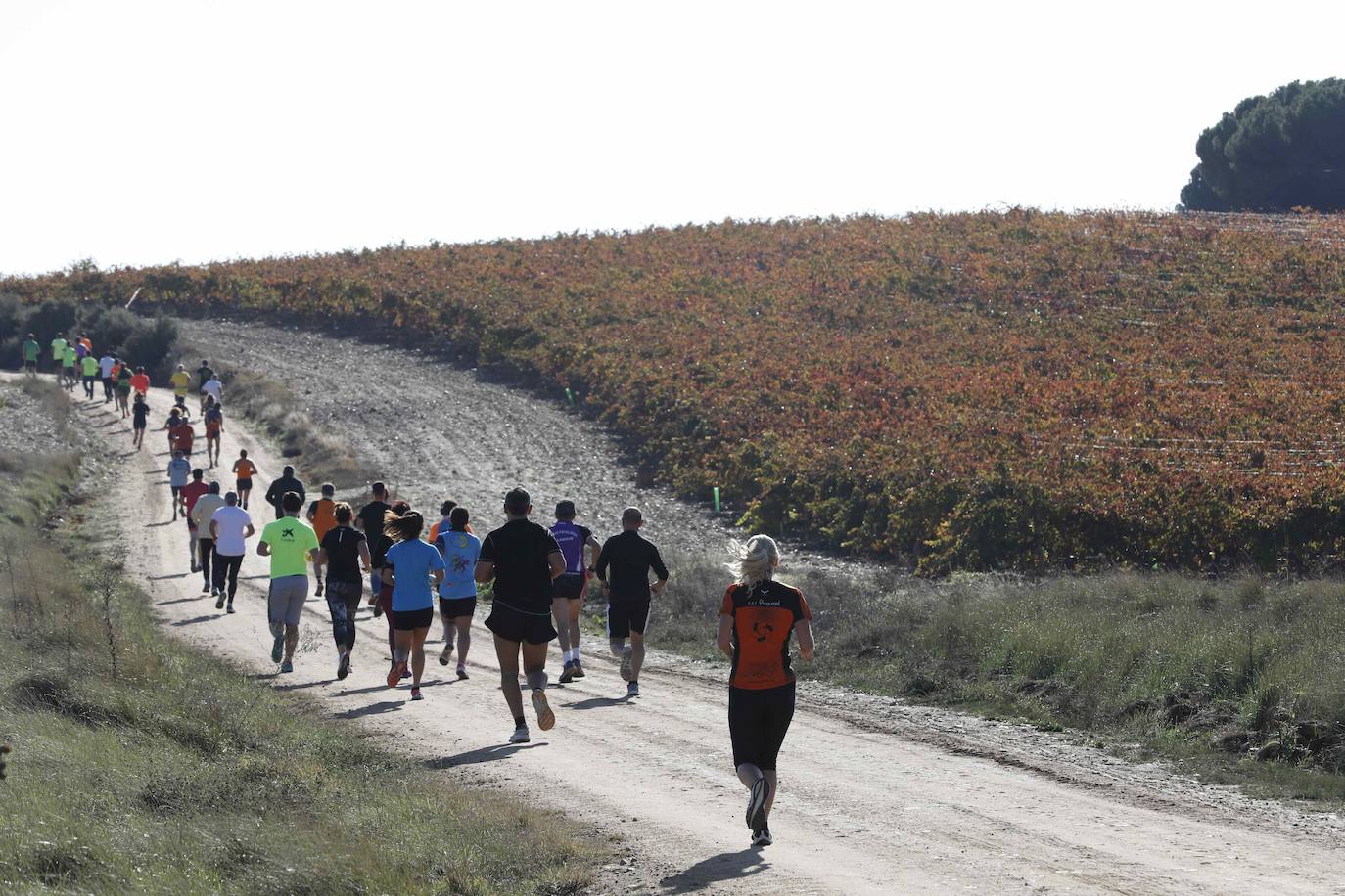 Fotos: Carrera en Peñafiel del del circuito Corriendo entre Viñas