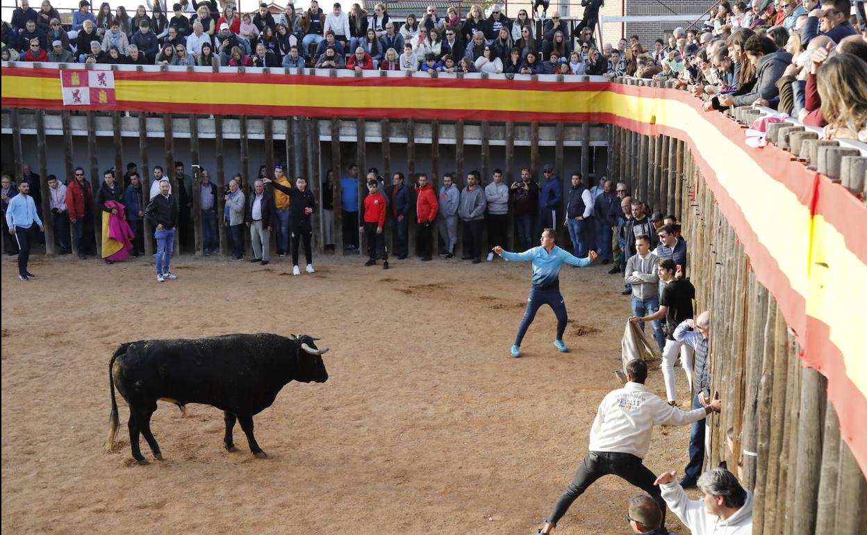 El Coso de la Fuentecilla durante el festejo de ayer. 