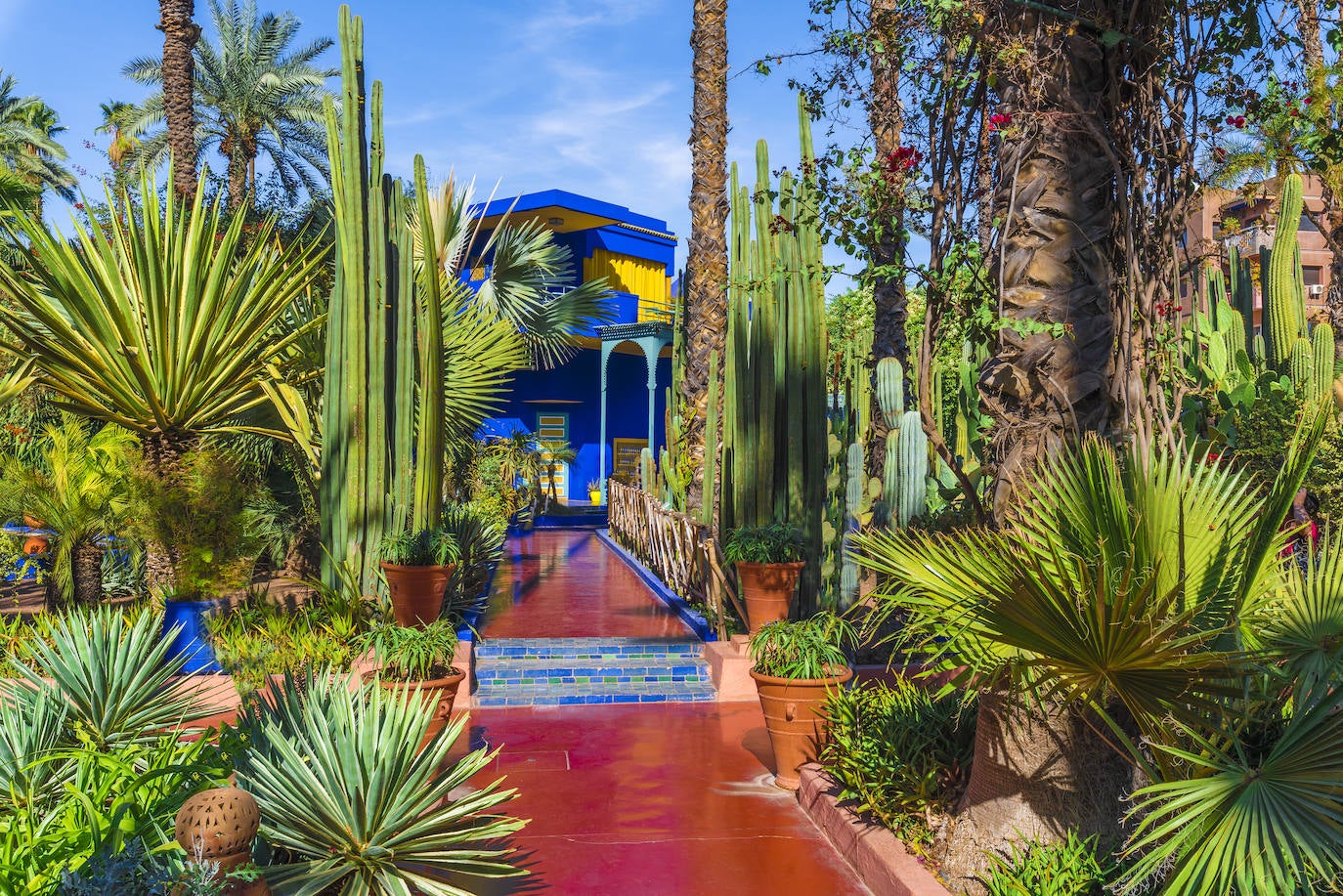 Jardín Majorelle (Marrakech). 