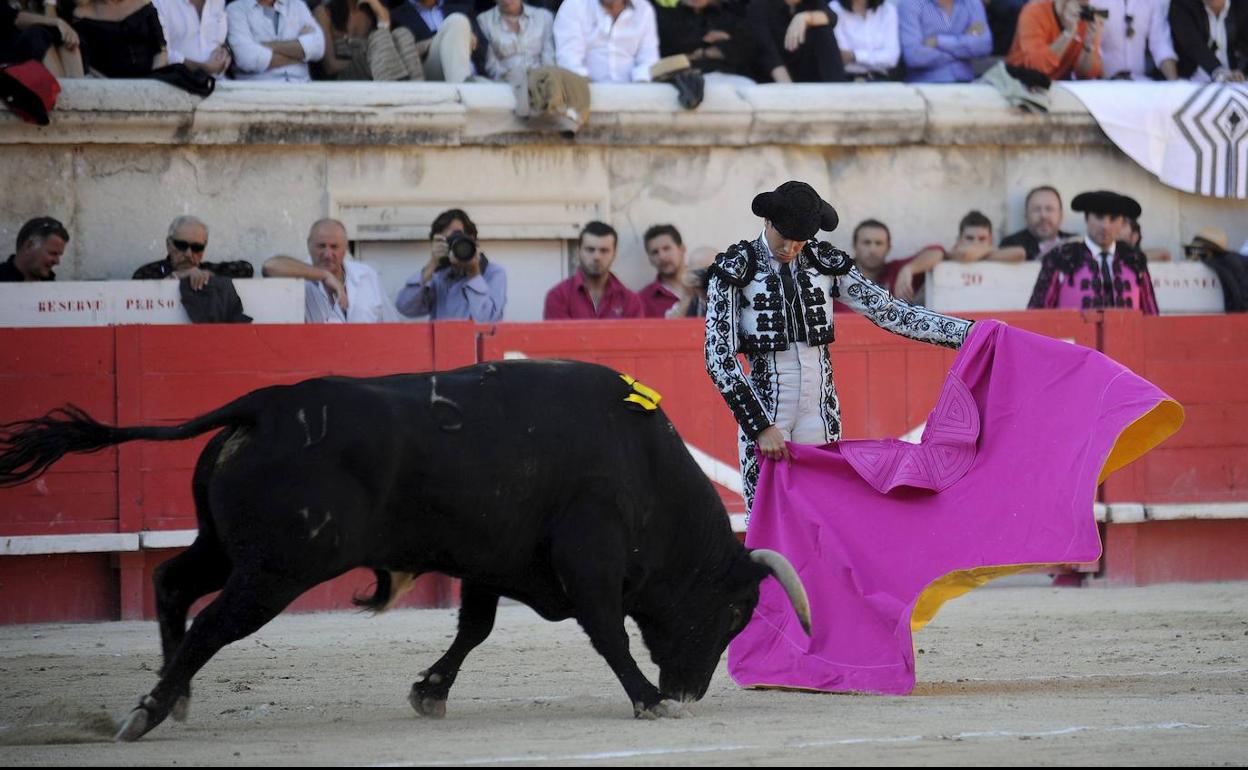 El toro paralelo 44