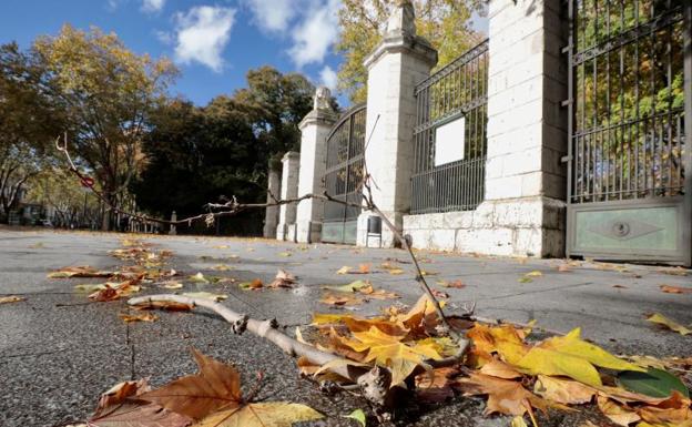 El viento cierra el Campo Grande y deja un reguero de incidencias en Valladolid