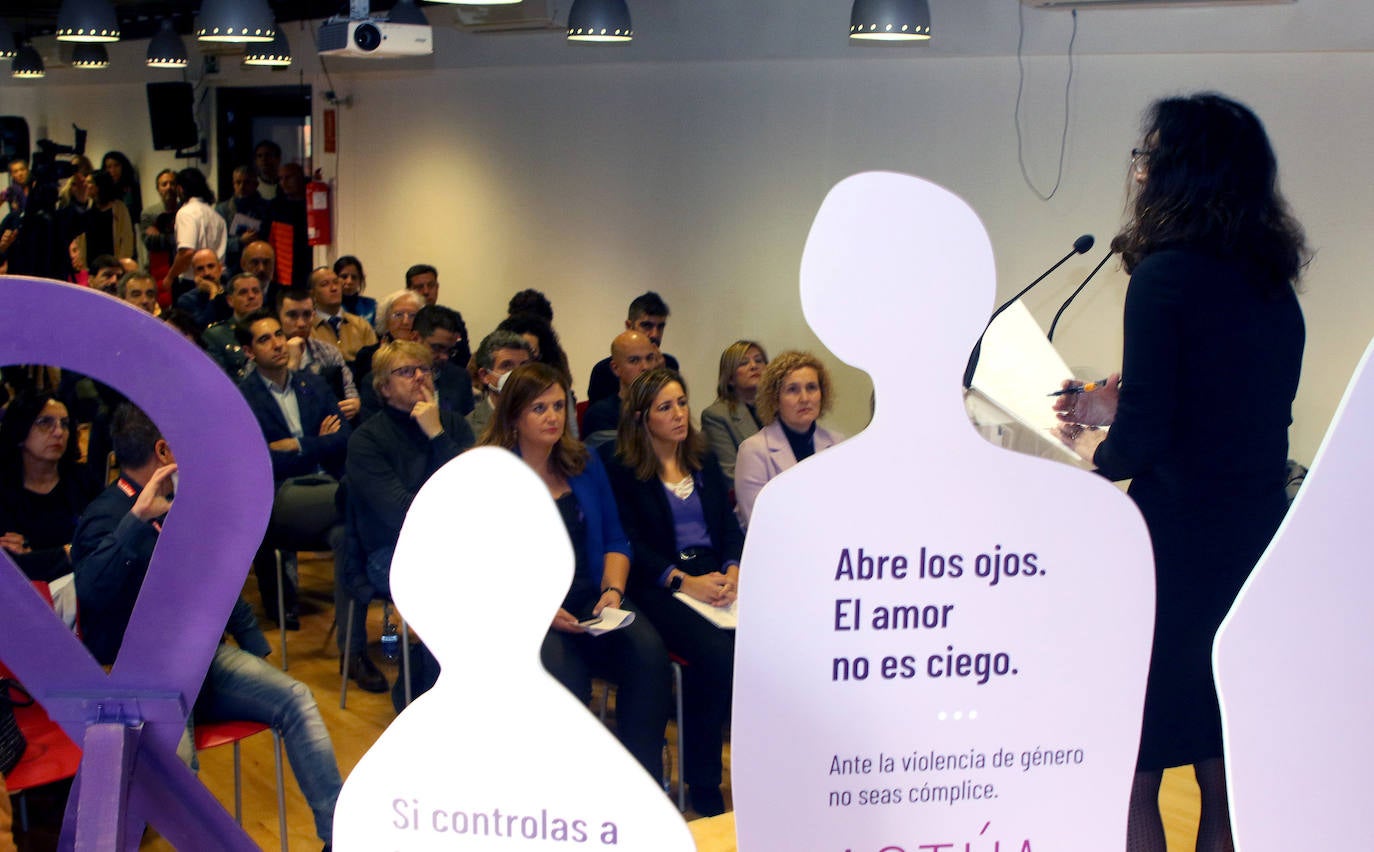 Actos del Día contra la violencia machista en el Ayuntamiento y la Diputación de Segovia. 